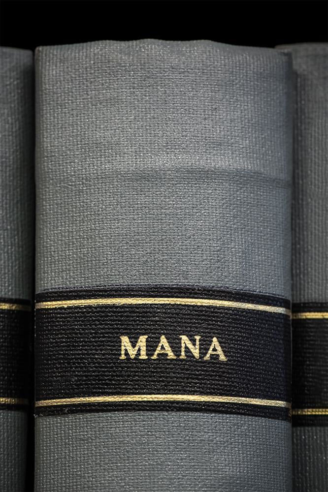 Mickey Smith, MANA, 2022