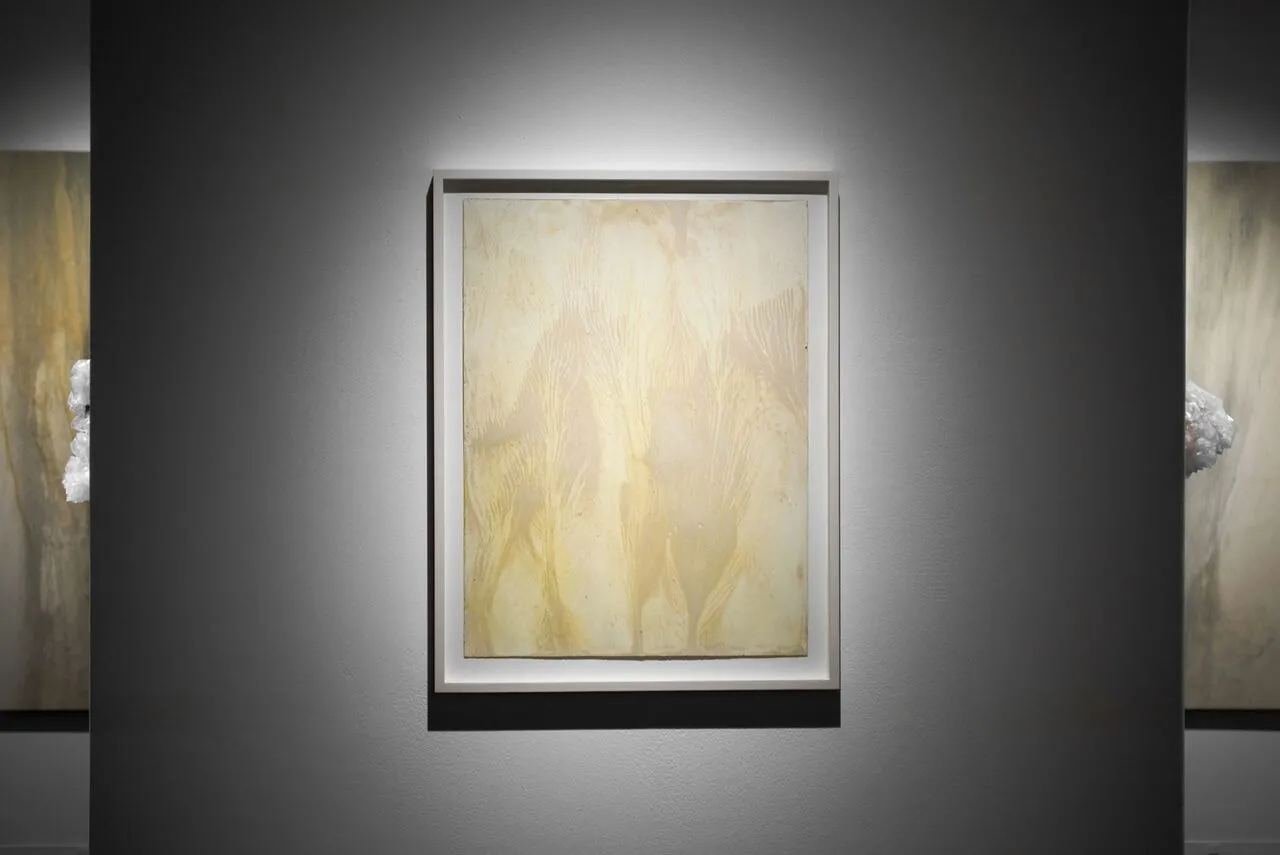 Shinji Turner-Yamamoto (Japan/US), Sidereal Silence: Irish Study #37, 2015