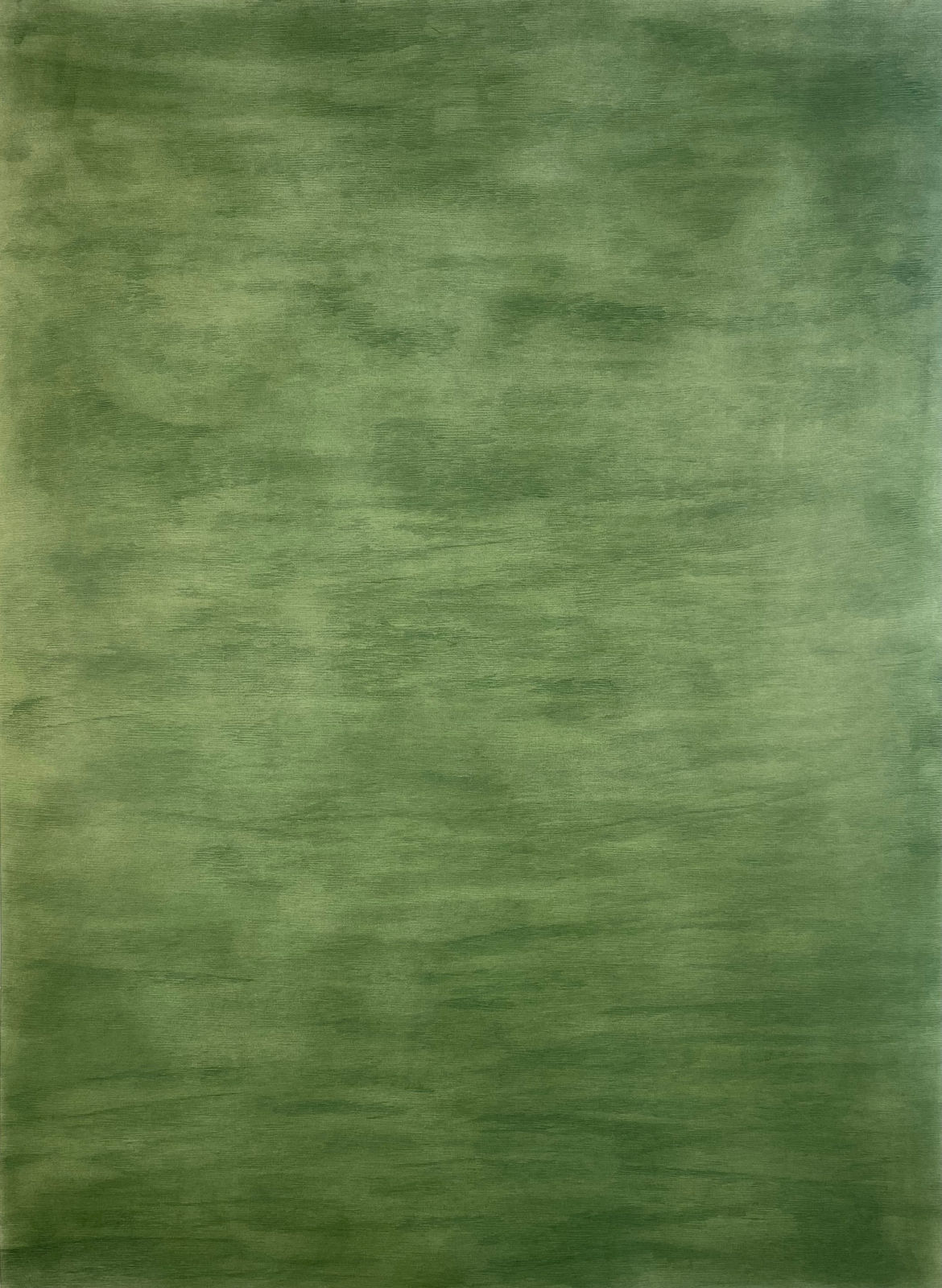 Gabriela Albergaria (Portugal/Belgium), What is the Color of Green #8, 2021