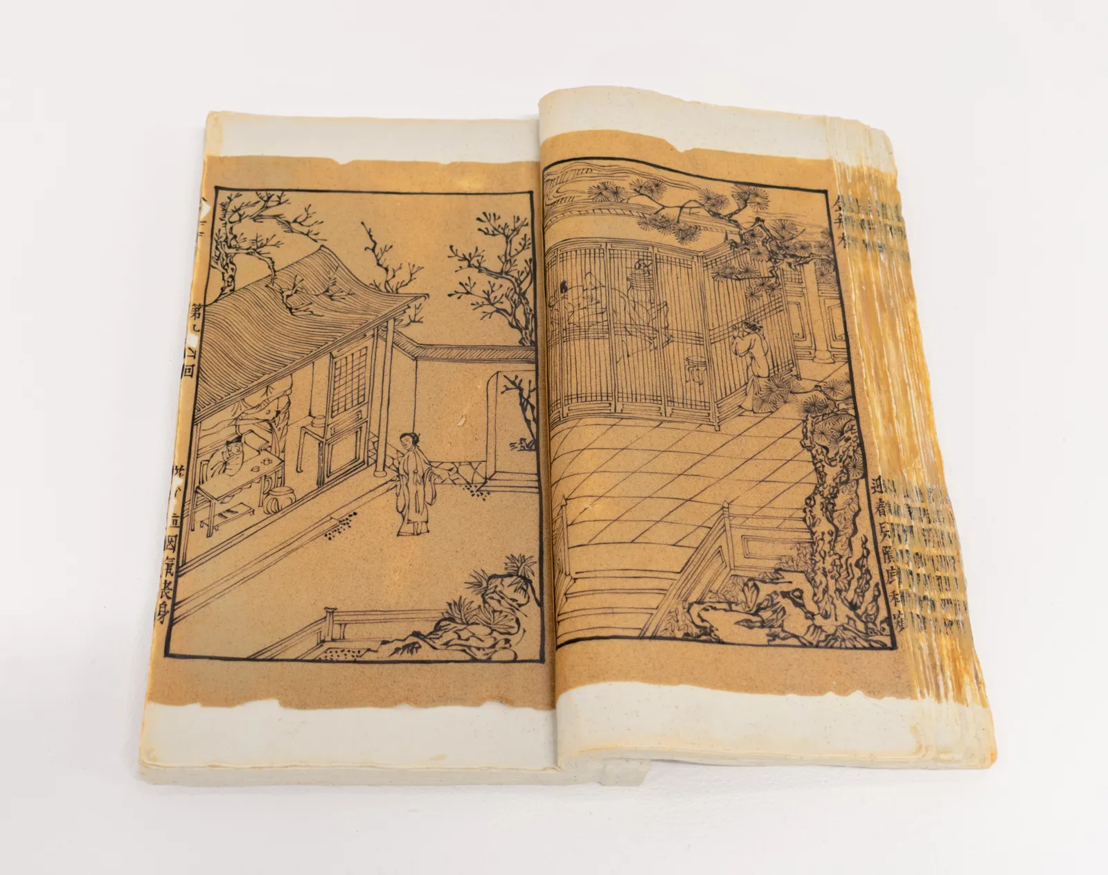 Xiaoze Xie, The Forbidden Books Series: The Golden Lotus (Voyeurism); Banned as an obscene book in the 7th year of Qing Emperor Tongzhi’s reign (1868), 2019