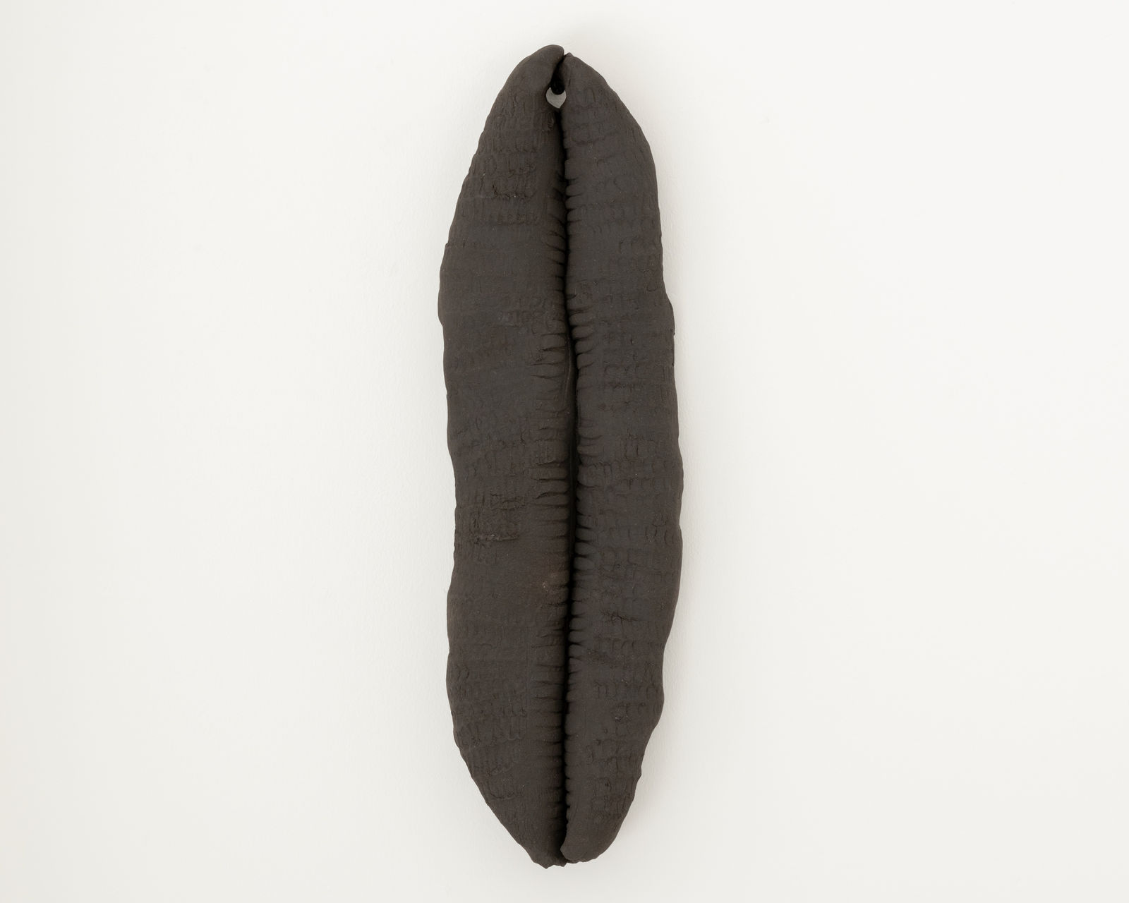 Lucia Pizzani, Semilla Jojoto-Tabachin, 2022