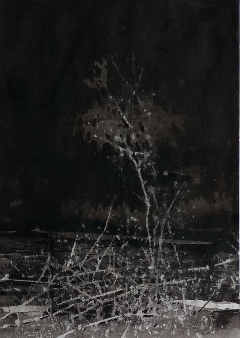 Abbas Nasle Shamloo, Enclosure 17, 2023