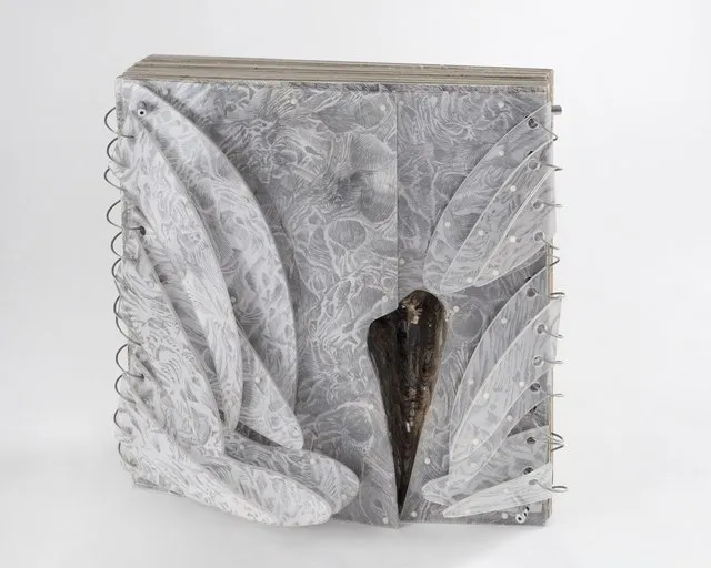 Mahdieh Abolhasan, Antagonist, 2018