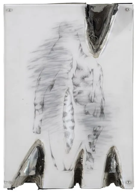 Mahdieh Abolhasan, Carcass, 2020