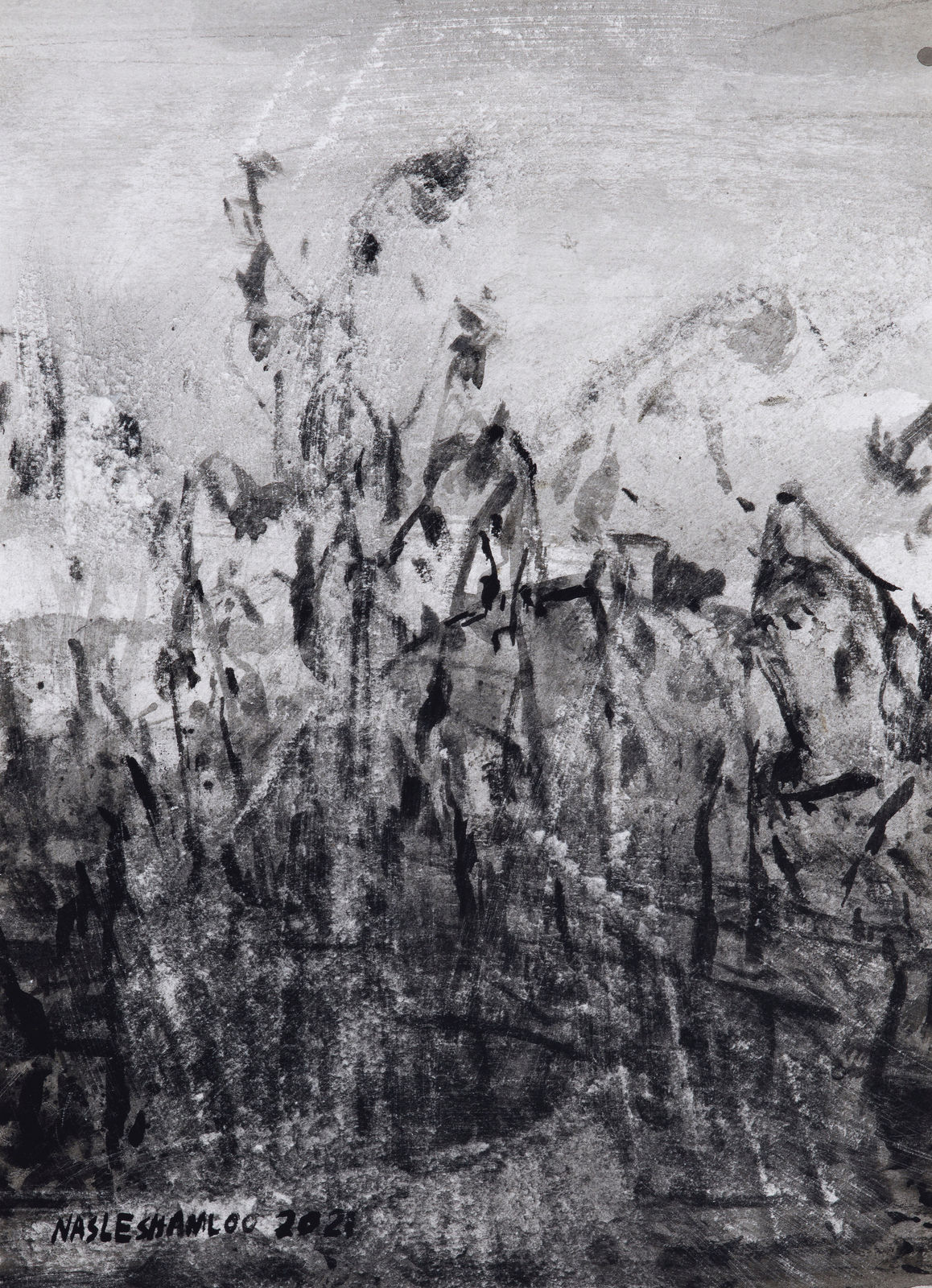 Abbas Nasle Shamloo, Enclosure 3, 2021