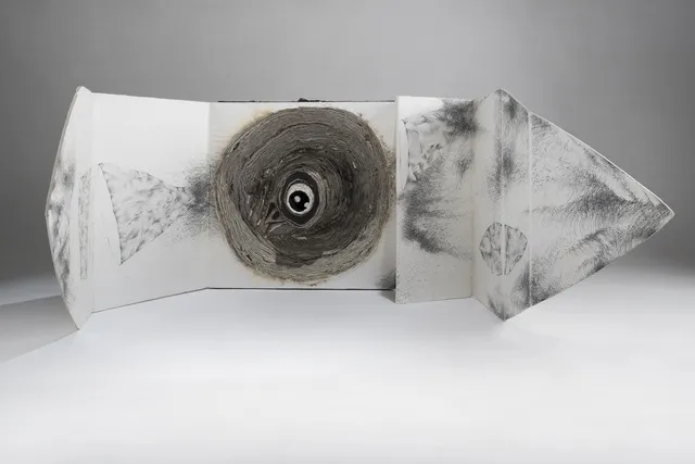 Mahdieh Abolhasan, Confidentiality, 2016