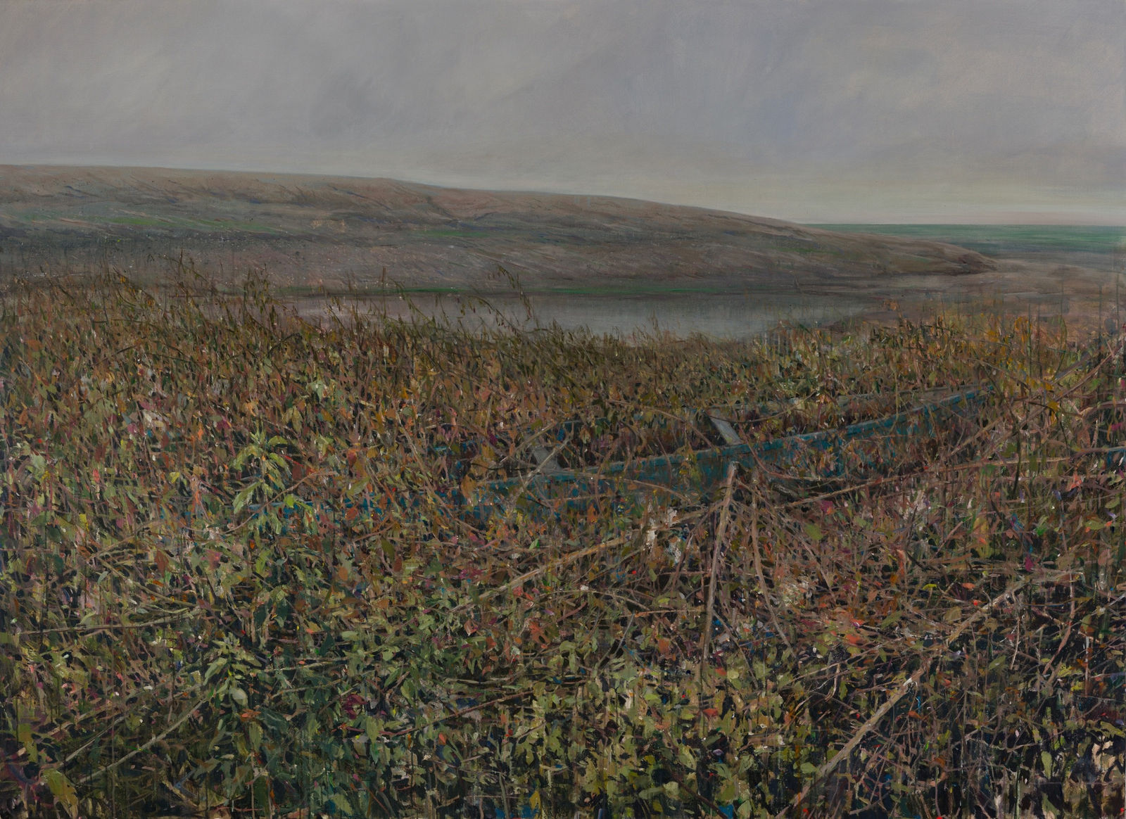 Abbas Nasle Shamloo, Swamp 4, 2025