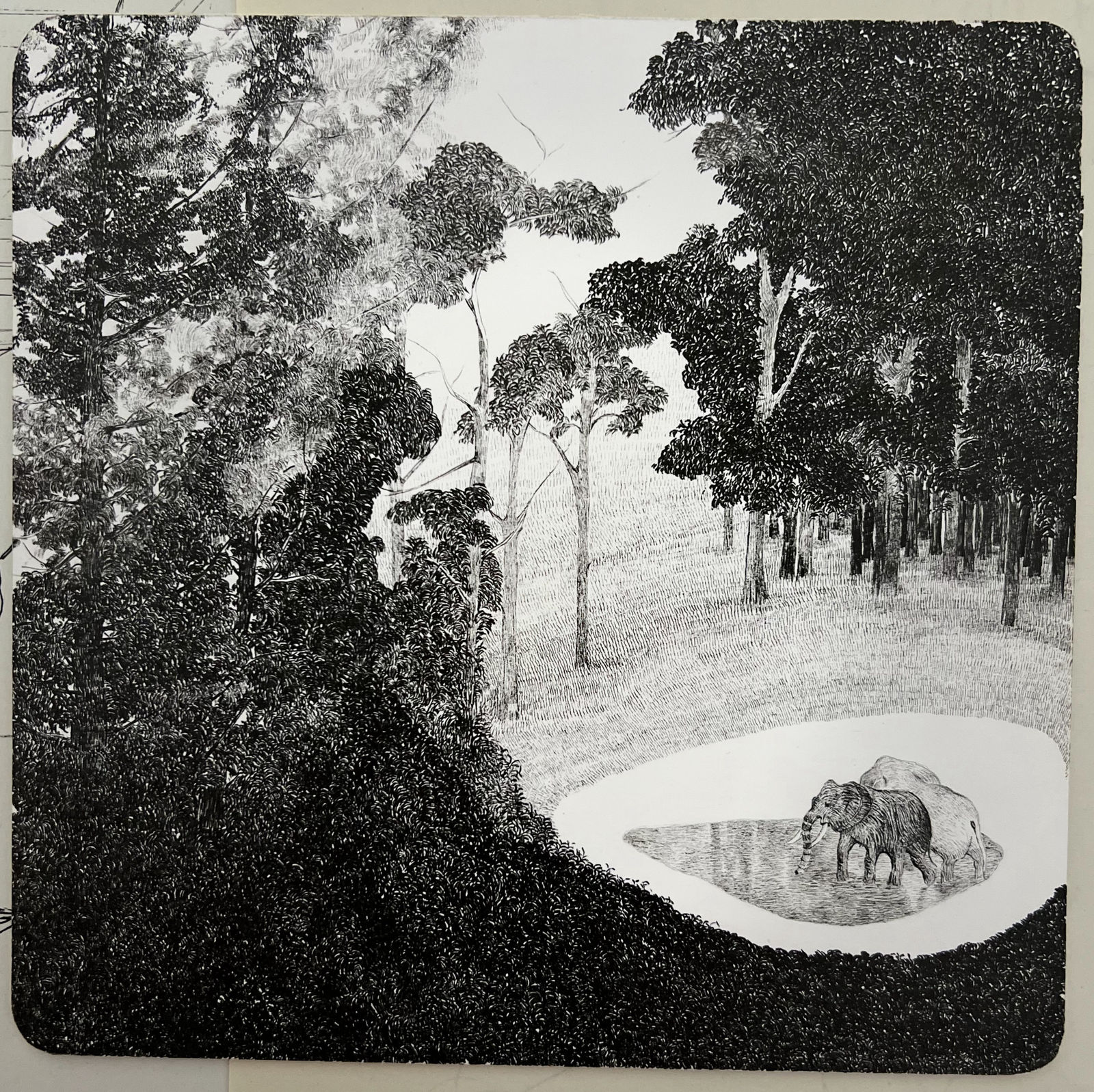 Arezoo Shiravani, Untitled, 2023