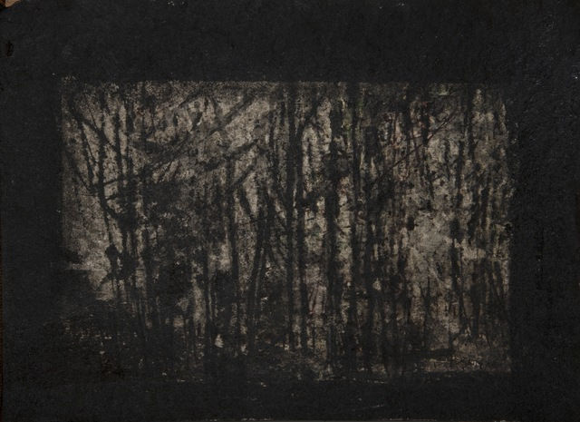 Abbas Nasle Shamloo, Beyond Alienation 31, 2019