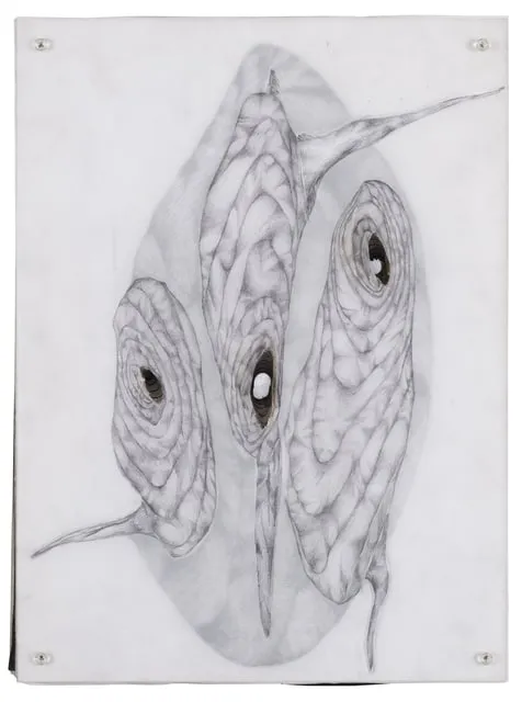 Mahdieh Abolhasan, Within, 2020