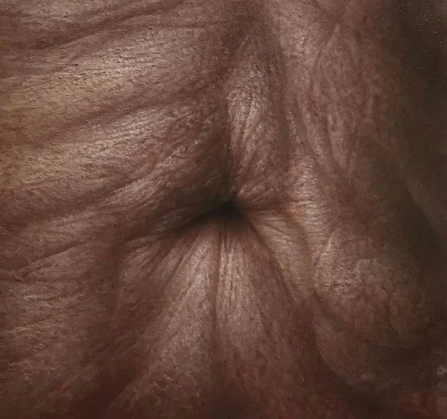 Elham Isari, Lands , 2020