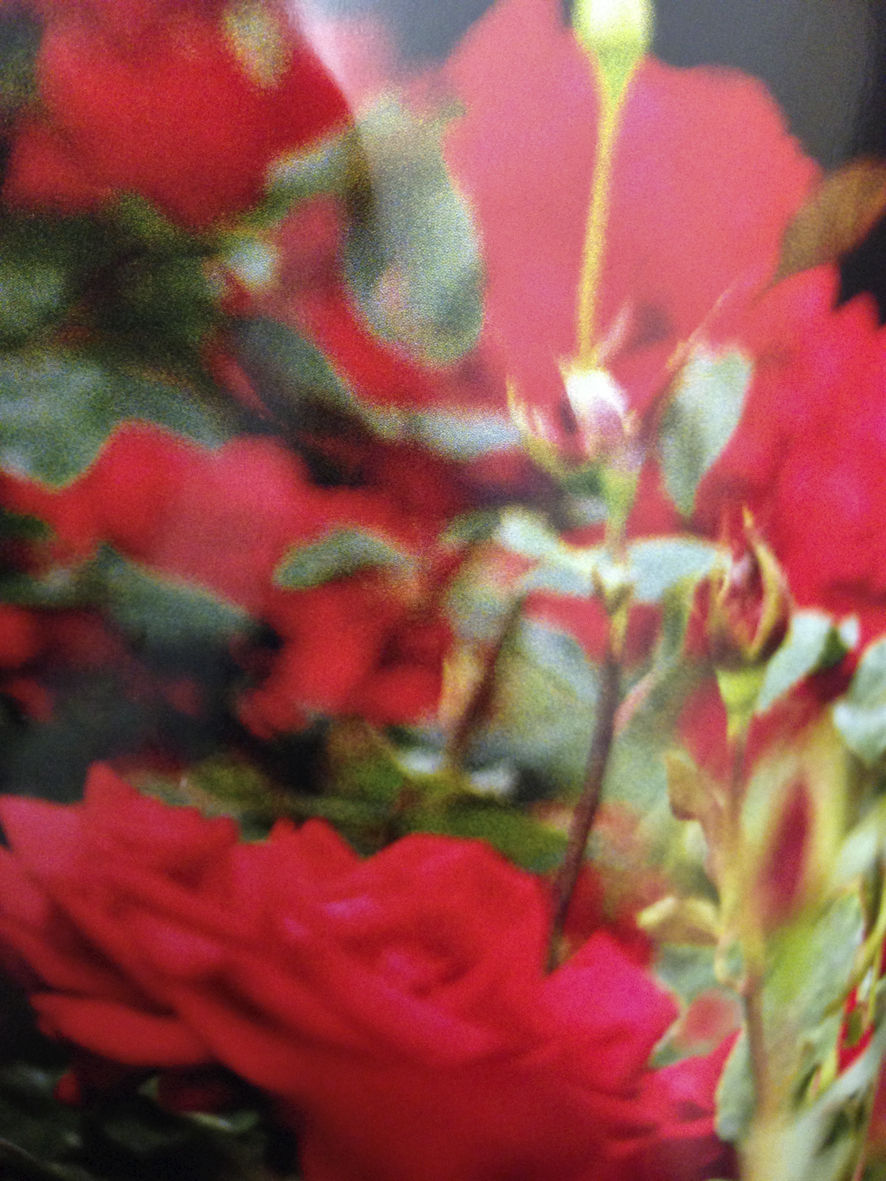 Kiron Robinson, Untitled #1, 2015