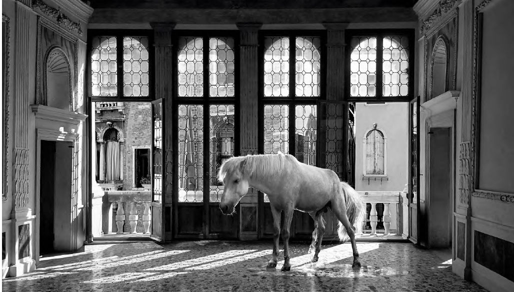 Stephen Garrett, Albedo (He Pissed Himself Clean), 2022