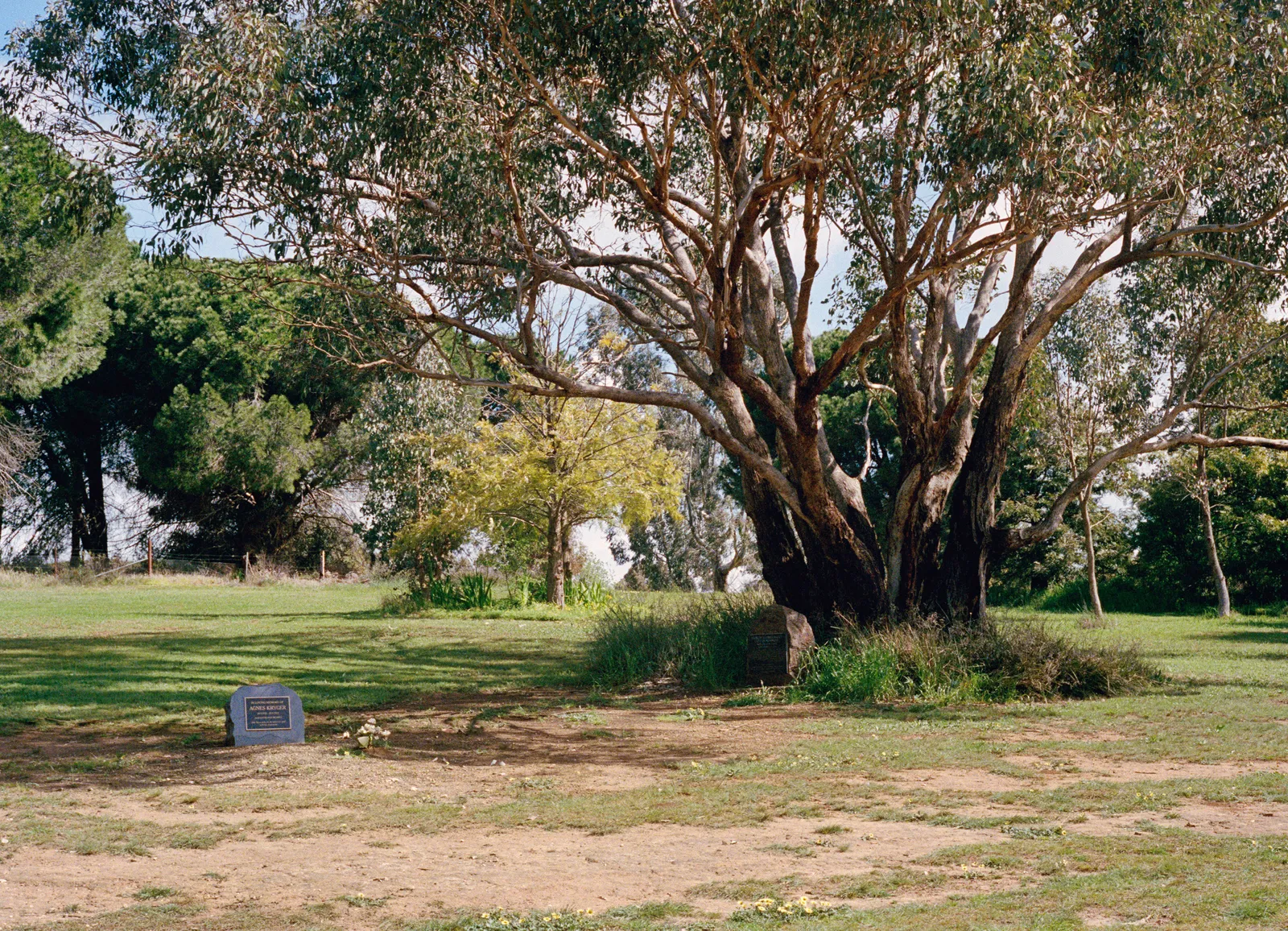 Drew Pettifer, Untitled (Moonlite's grave #1), 2023