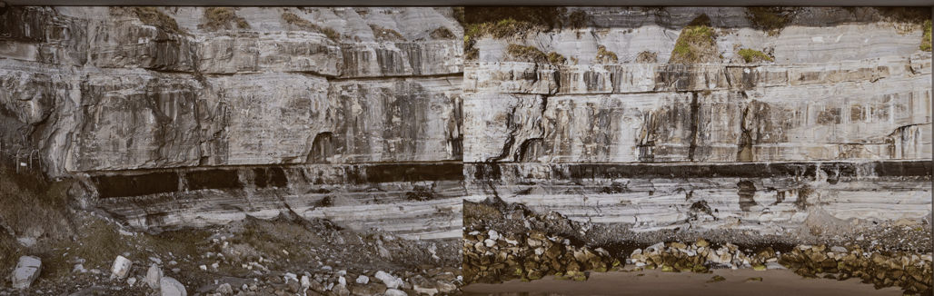 Bianca Hester, Extinction Lines, 2024