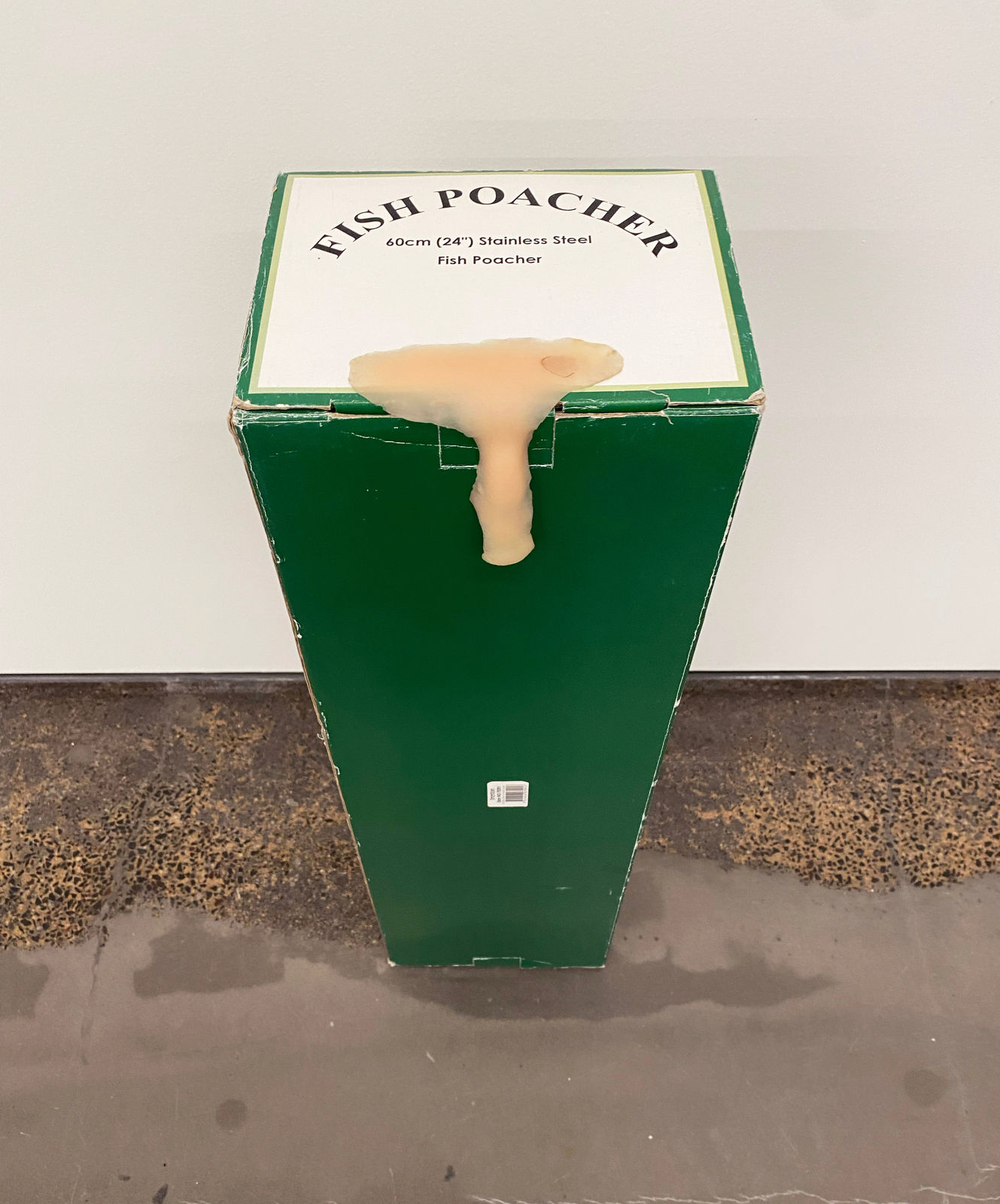 Lou Hubbard, Nose Box, 2025