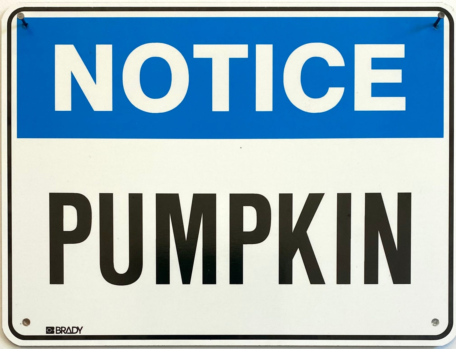 Michelle Neal, Untitled (Pumpkin), 2006