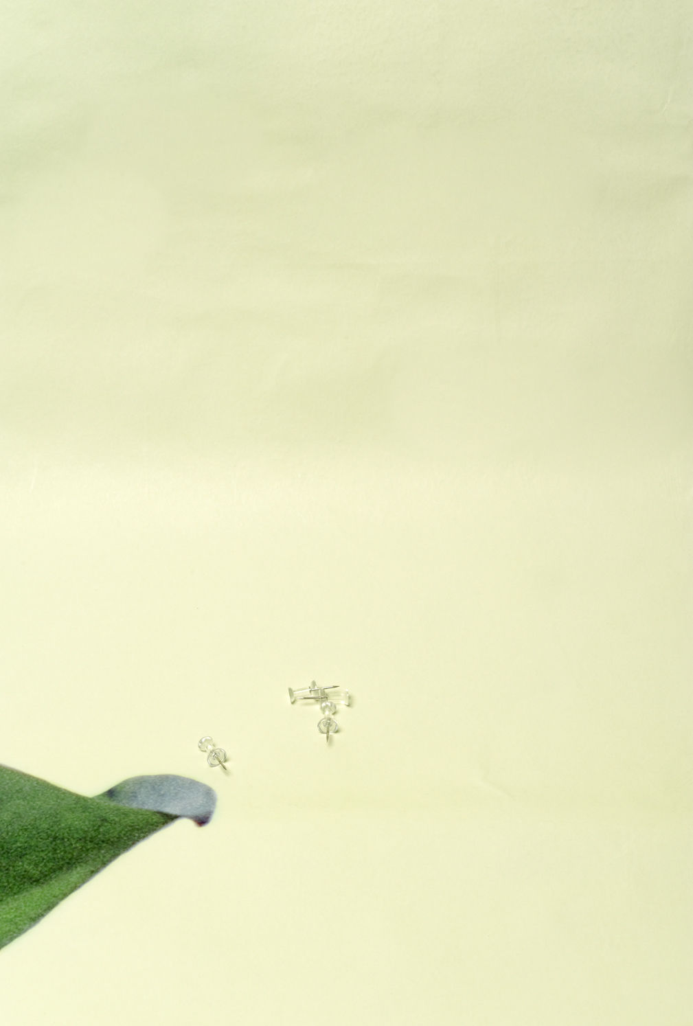 Kiron Robinson, Untitled #29, 2015