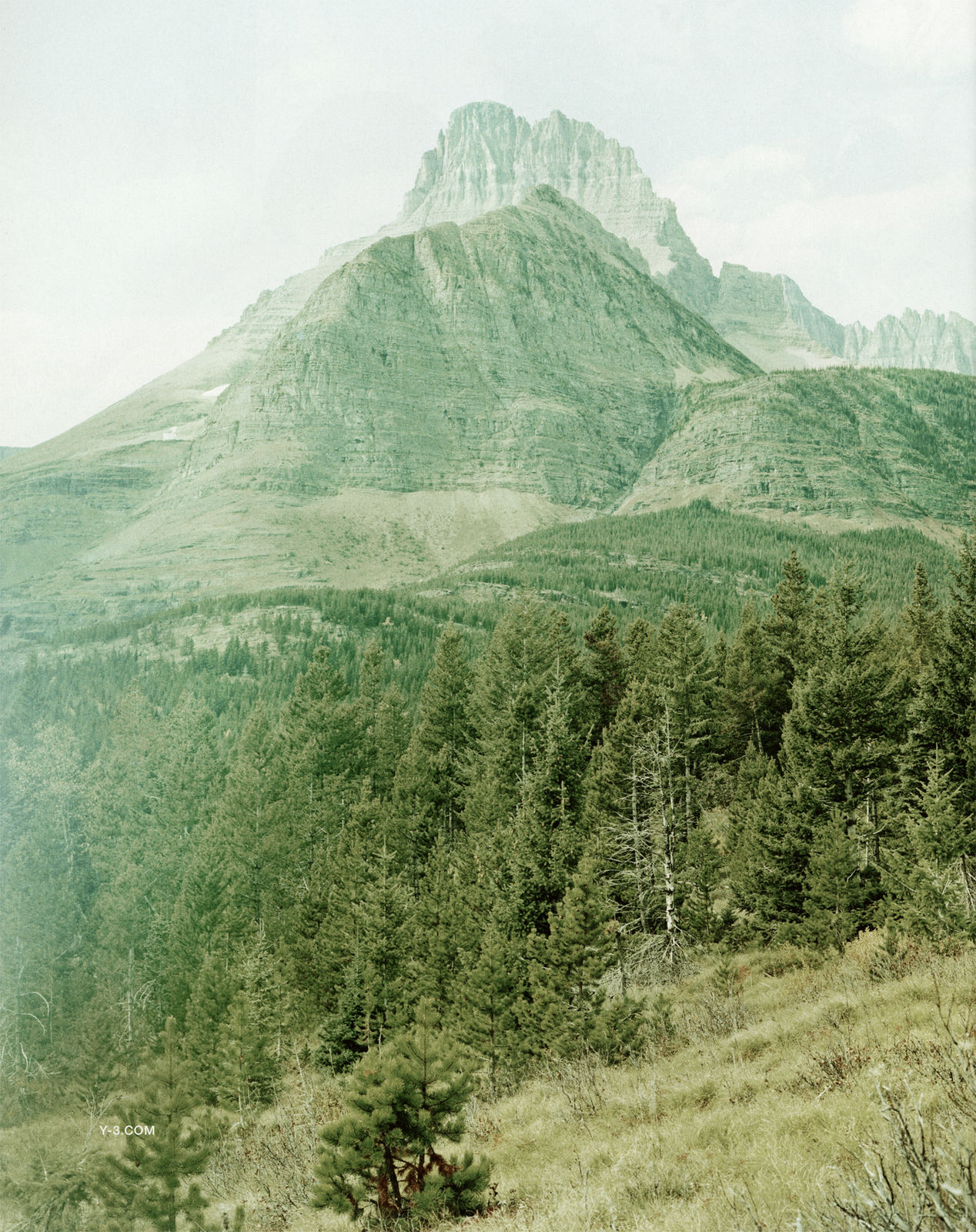 Kiron Robinson, Untitled #14, 2015