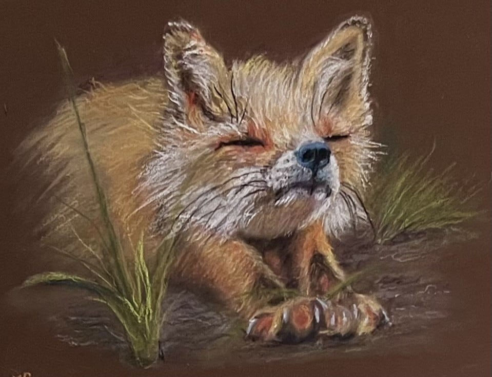 Best & Brightest 2026, Victoria Currens