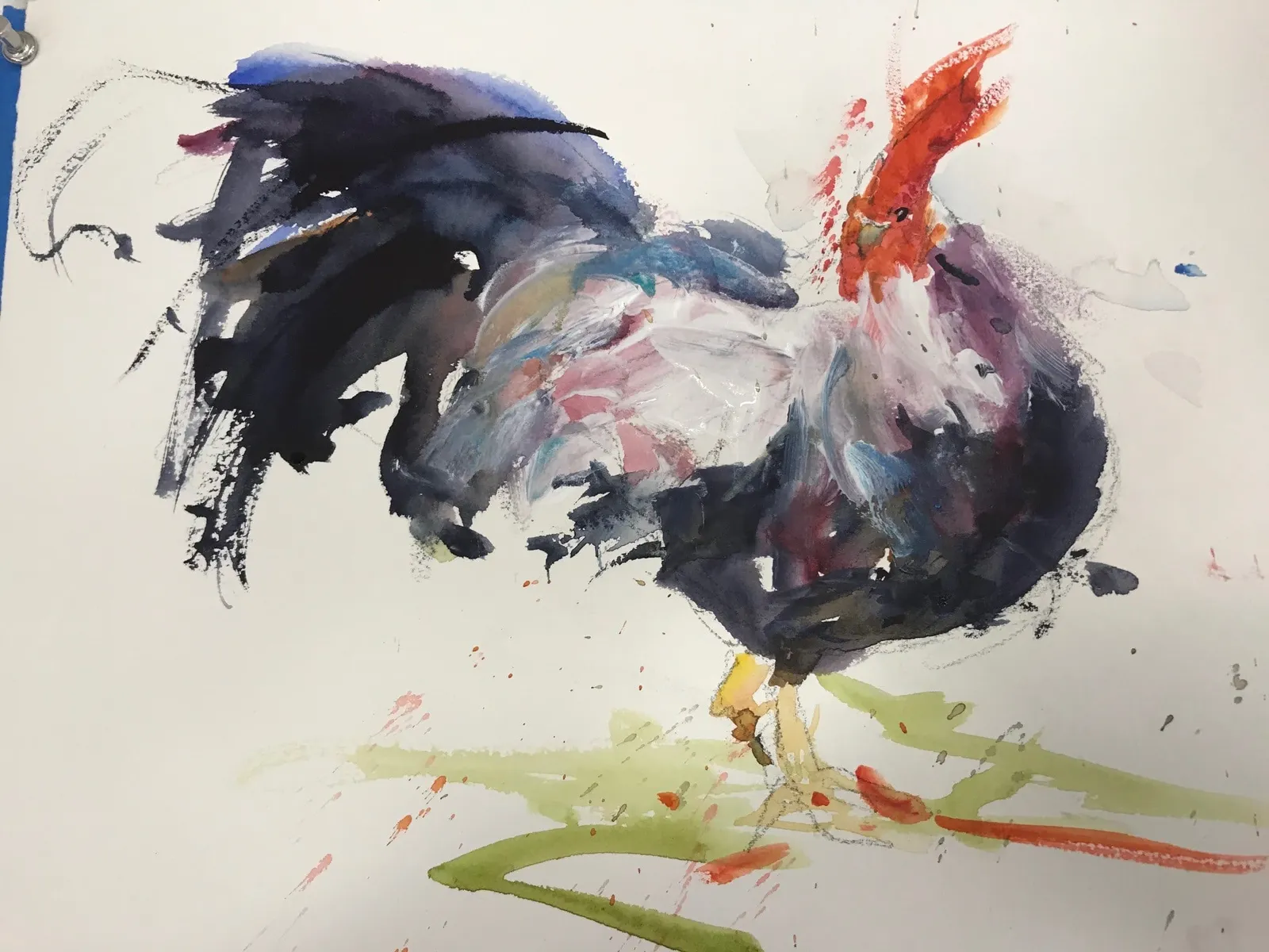 Grace Haverty, Rooster