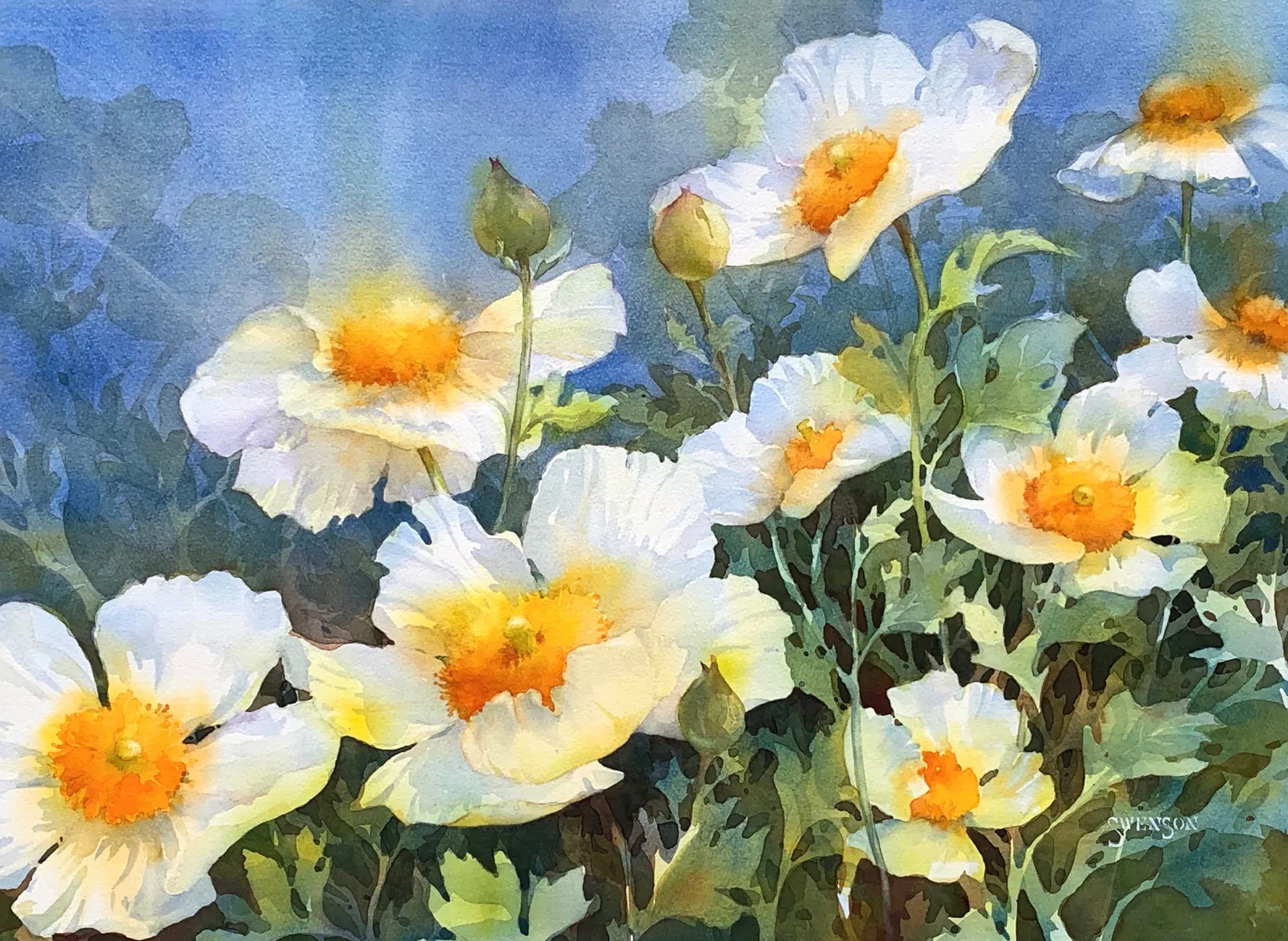 Brenda Swenson, Matilija Fire Followers