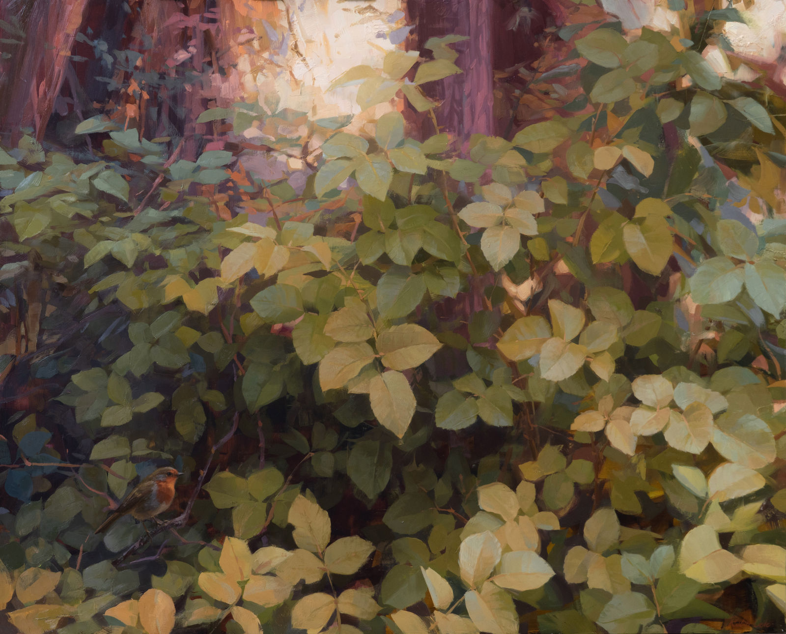 Robin Cole, Robin's Roses