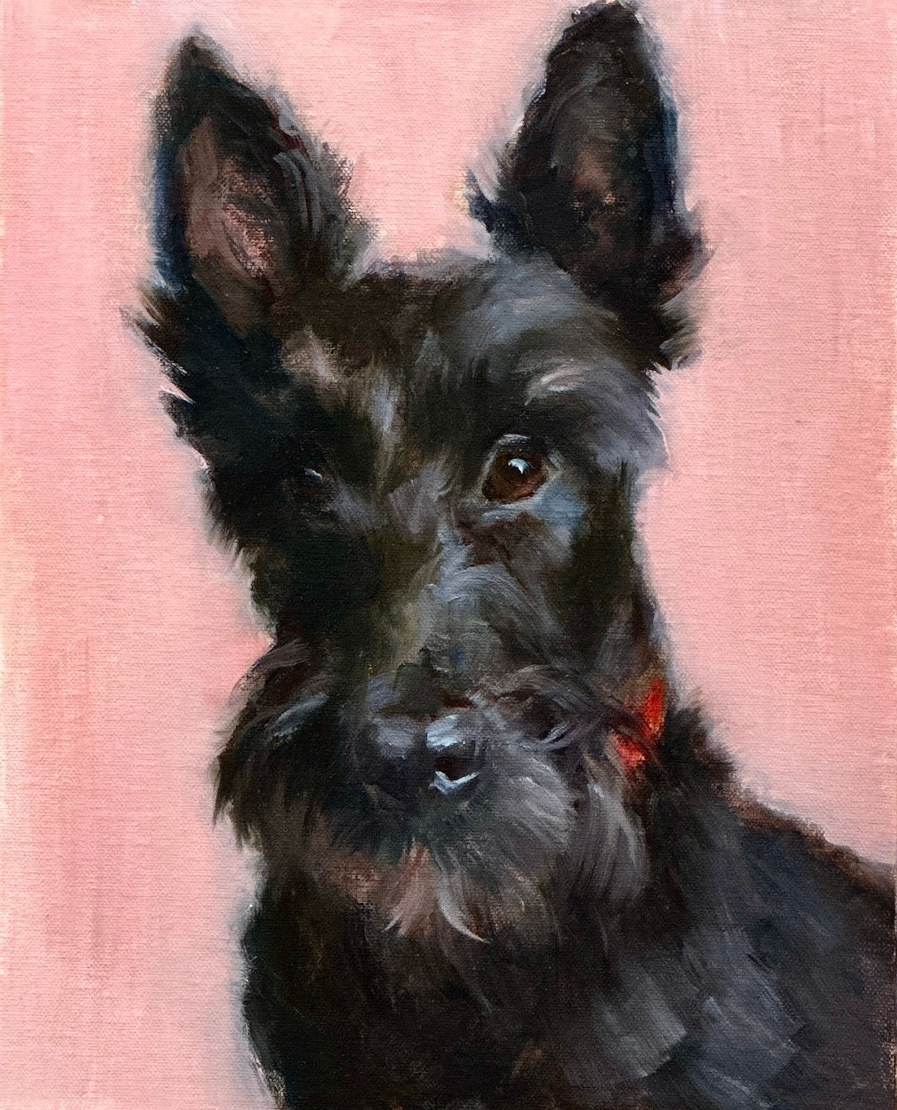 Johanne Mangi, Scottie Alert!