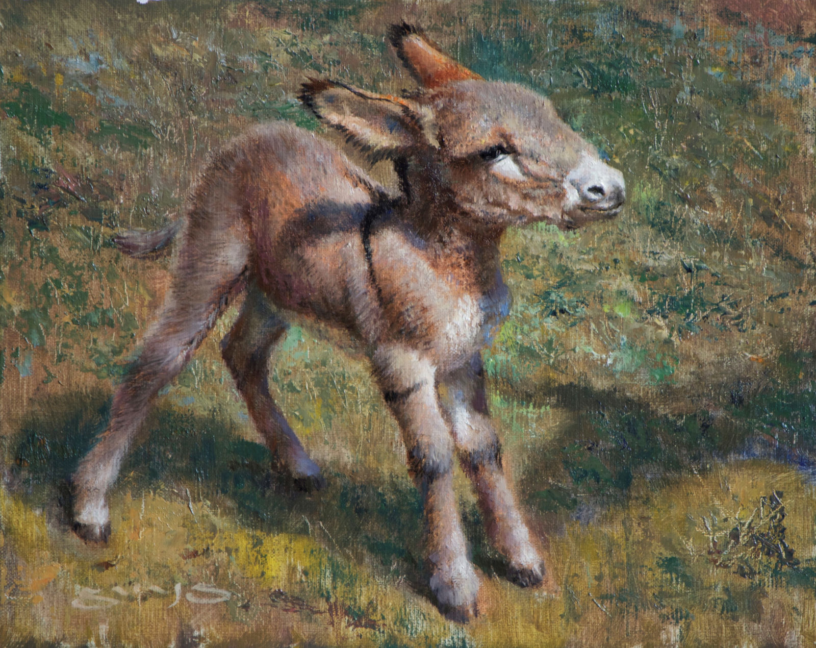 William Suys, The Stand