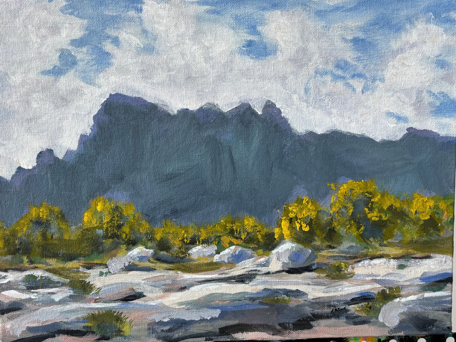 Best & Brightest 2026, Charlies Sholtis