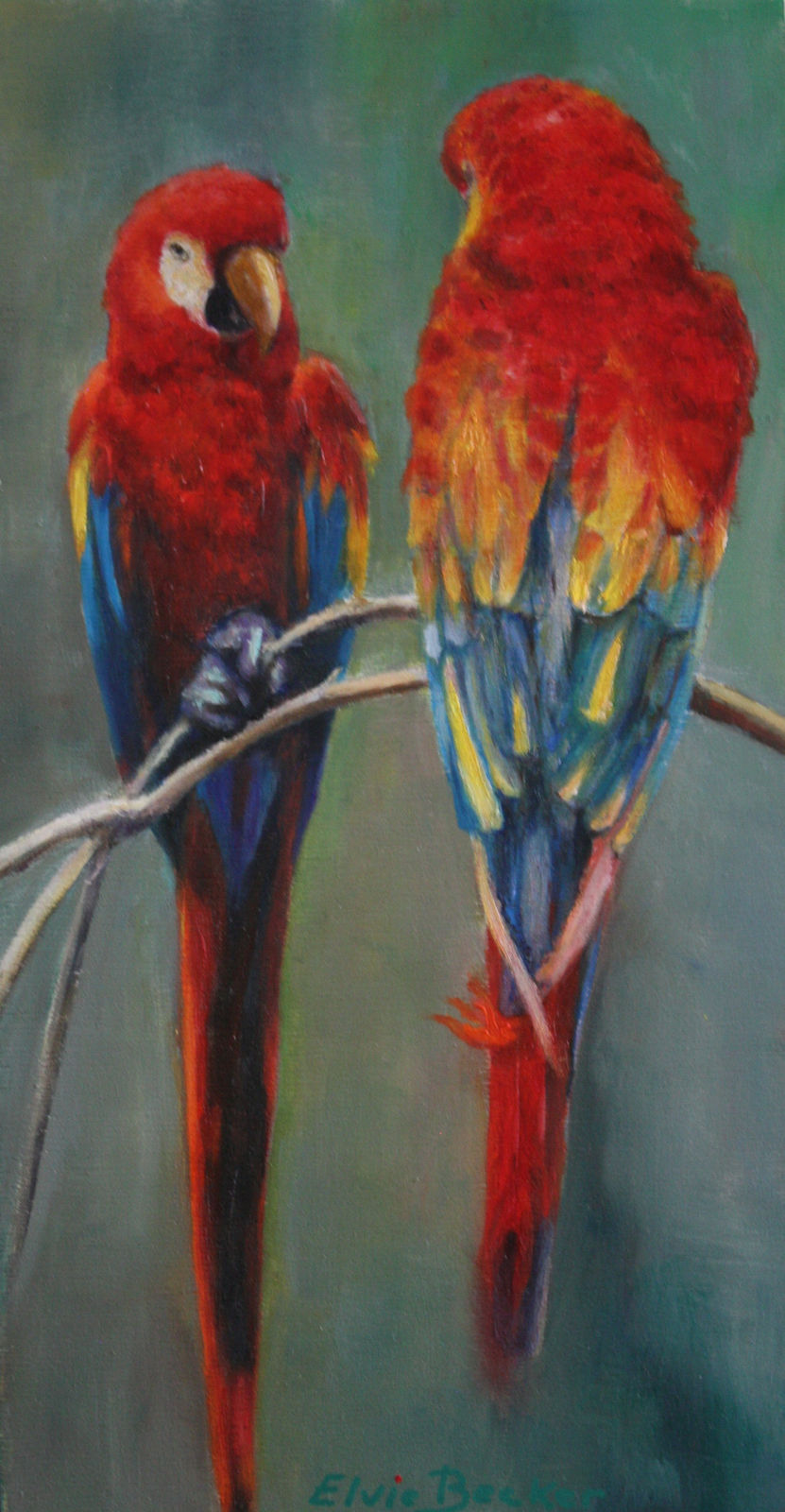 Best & Brightest 2026, Elvie Z Becker