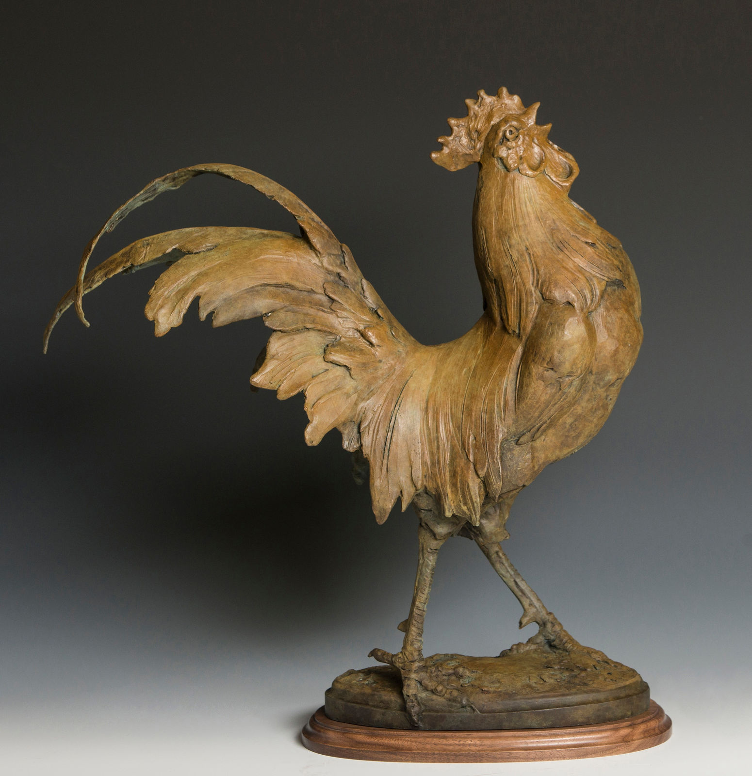 Sandy Scott, King of the Coop 300, 2022