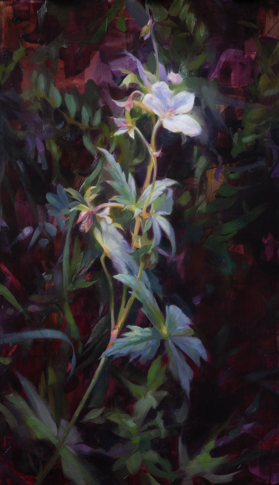 Robin Cole, Like a Memory