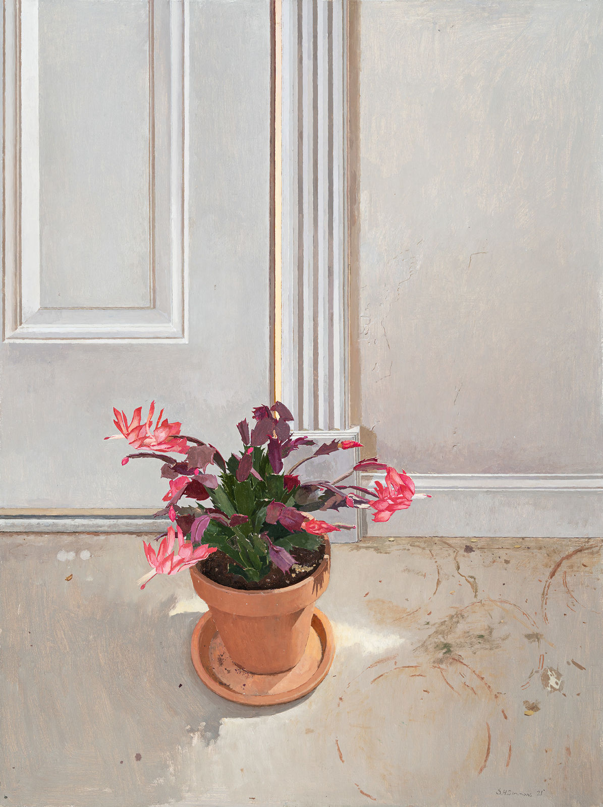Spencer Simmons, Potted Cactus