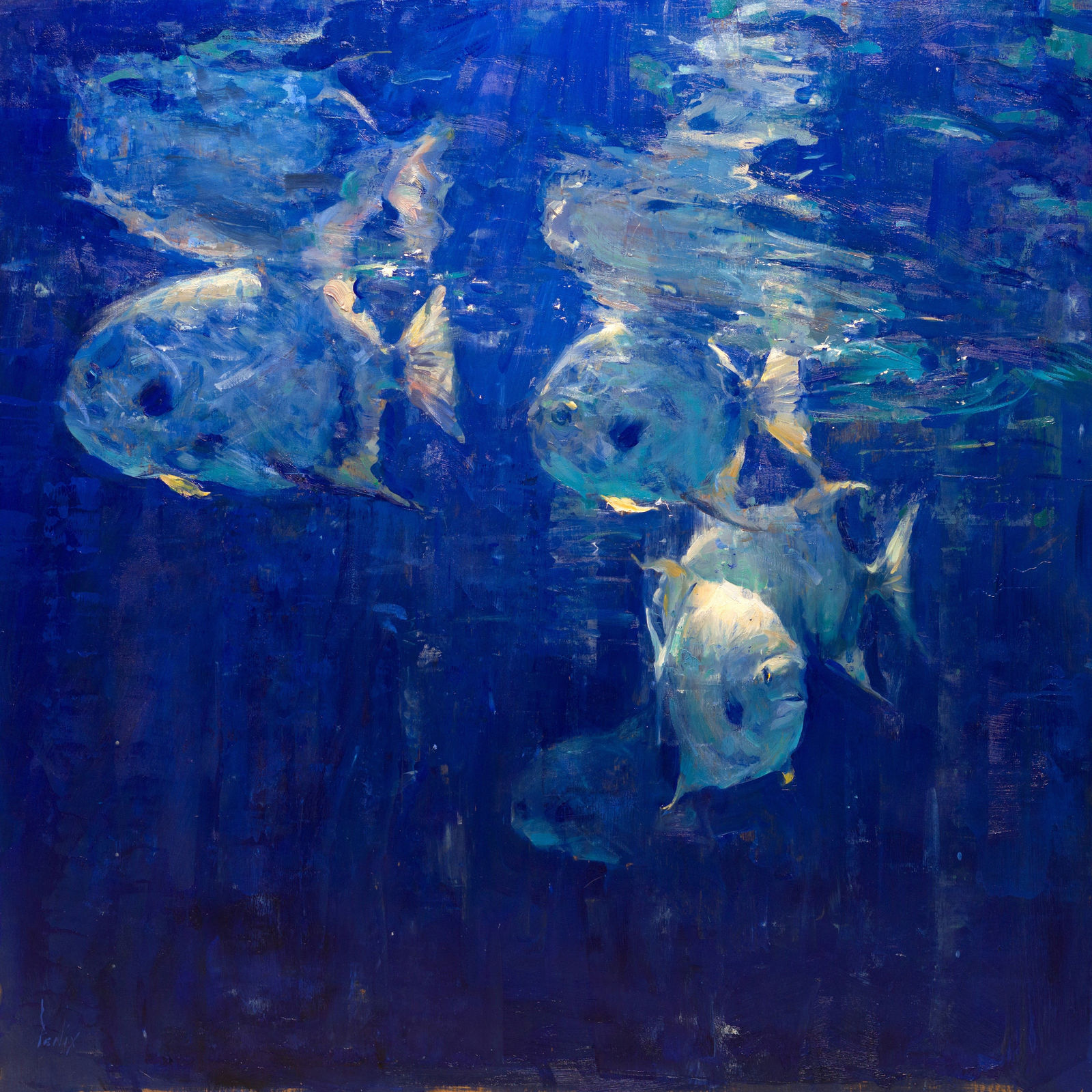 Derek Penix, Deep Blue White Fish