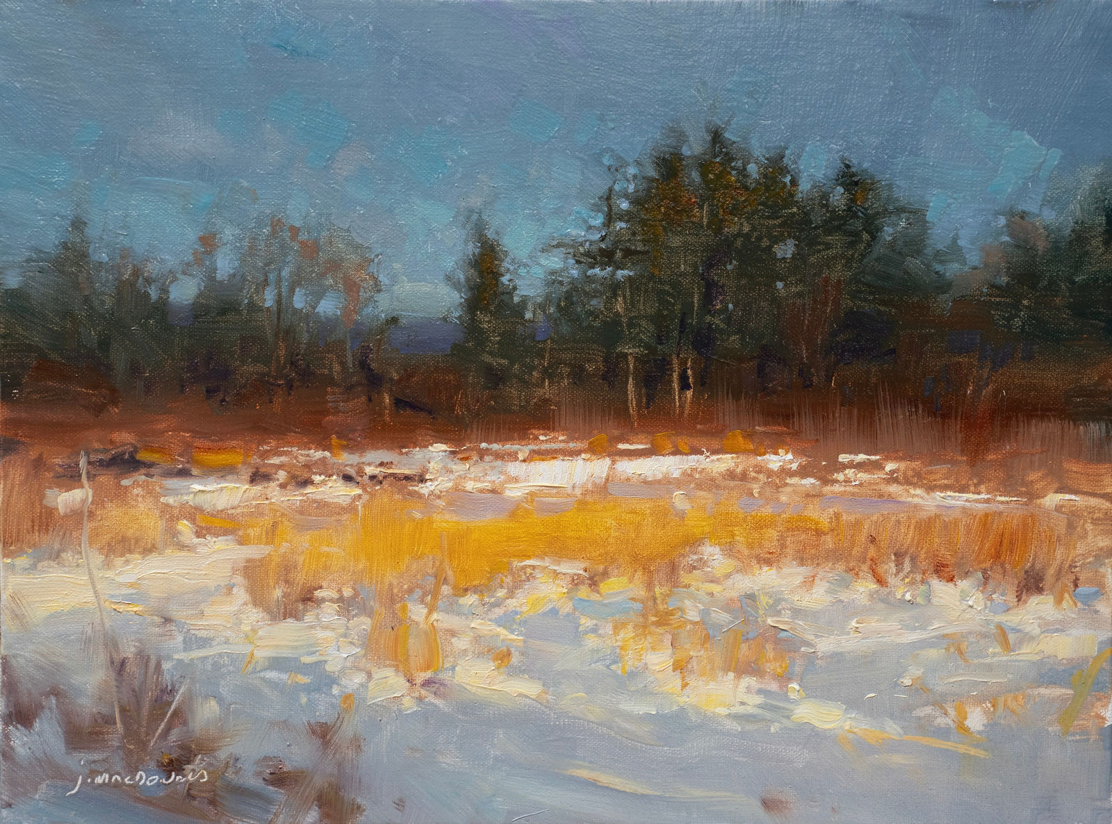 John MacDonald, January Blaze