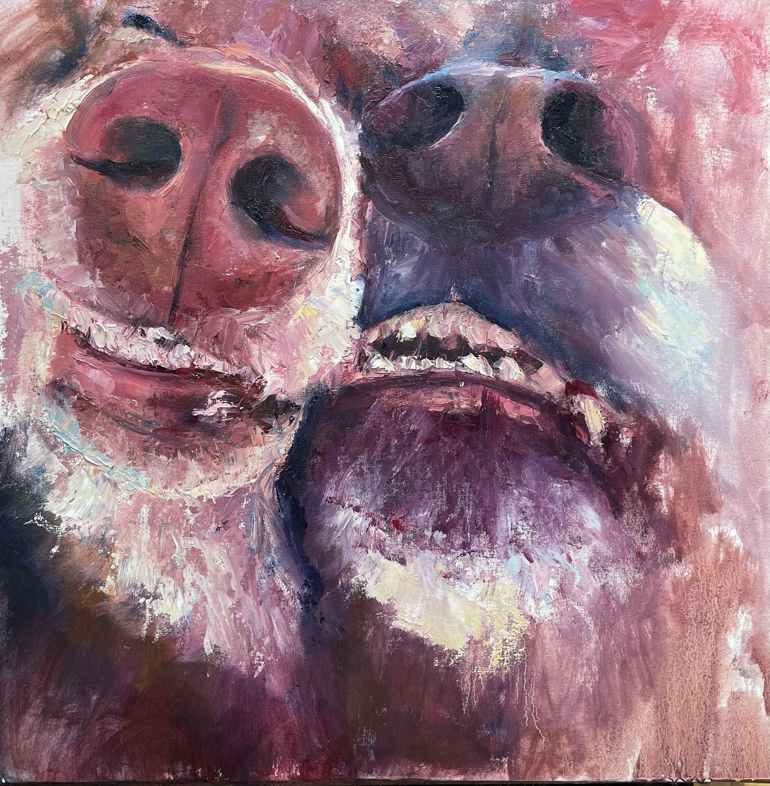 Jennifer Freeman, Dog Noses