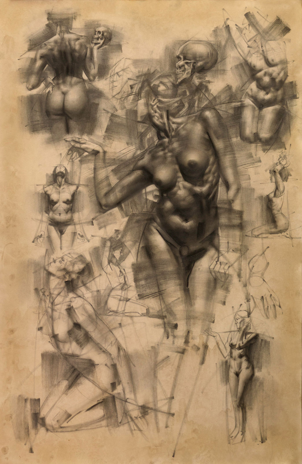 Charles Miano, Allegro