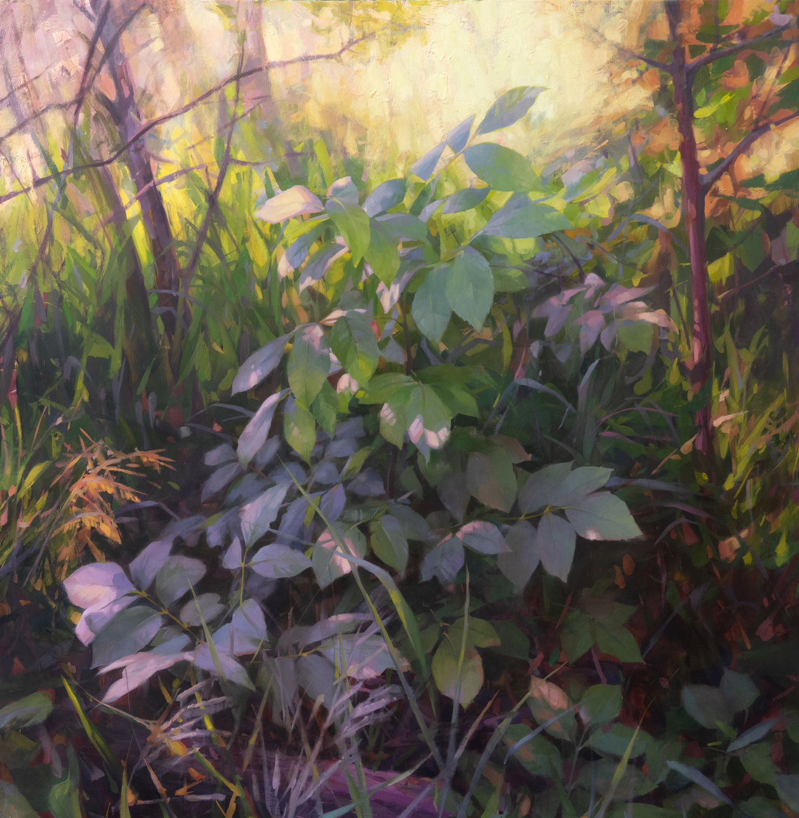 Robin Cole, The Awakening, 2023