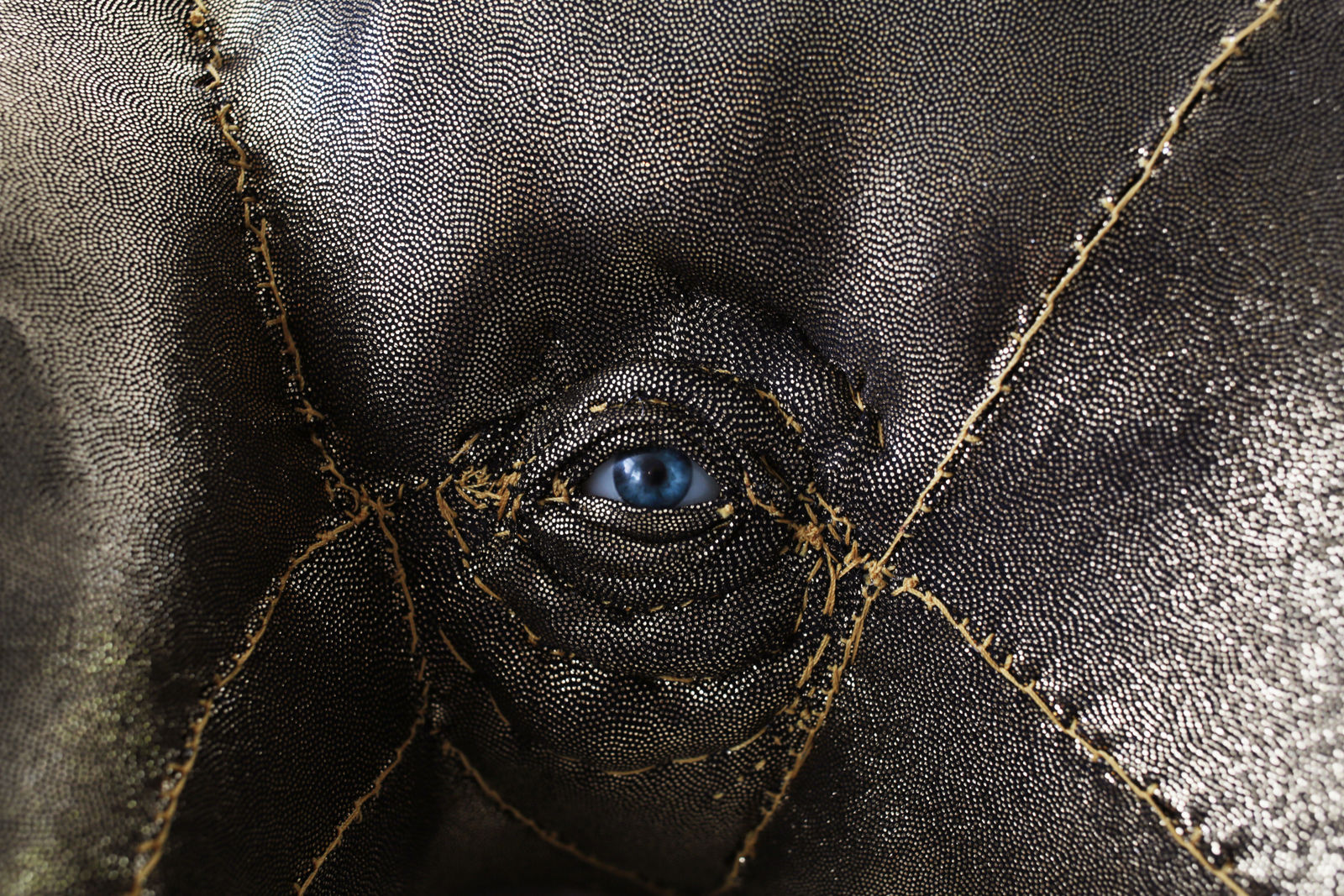 Tarryn Gill, Limber 7, 2022