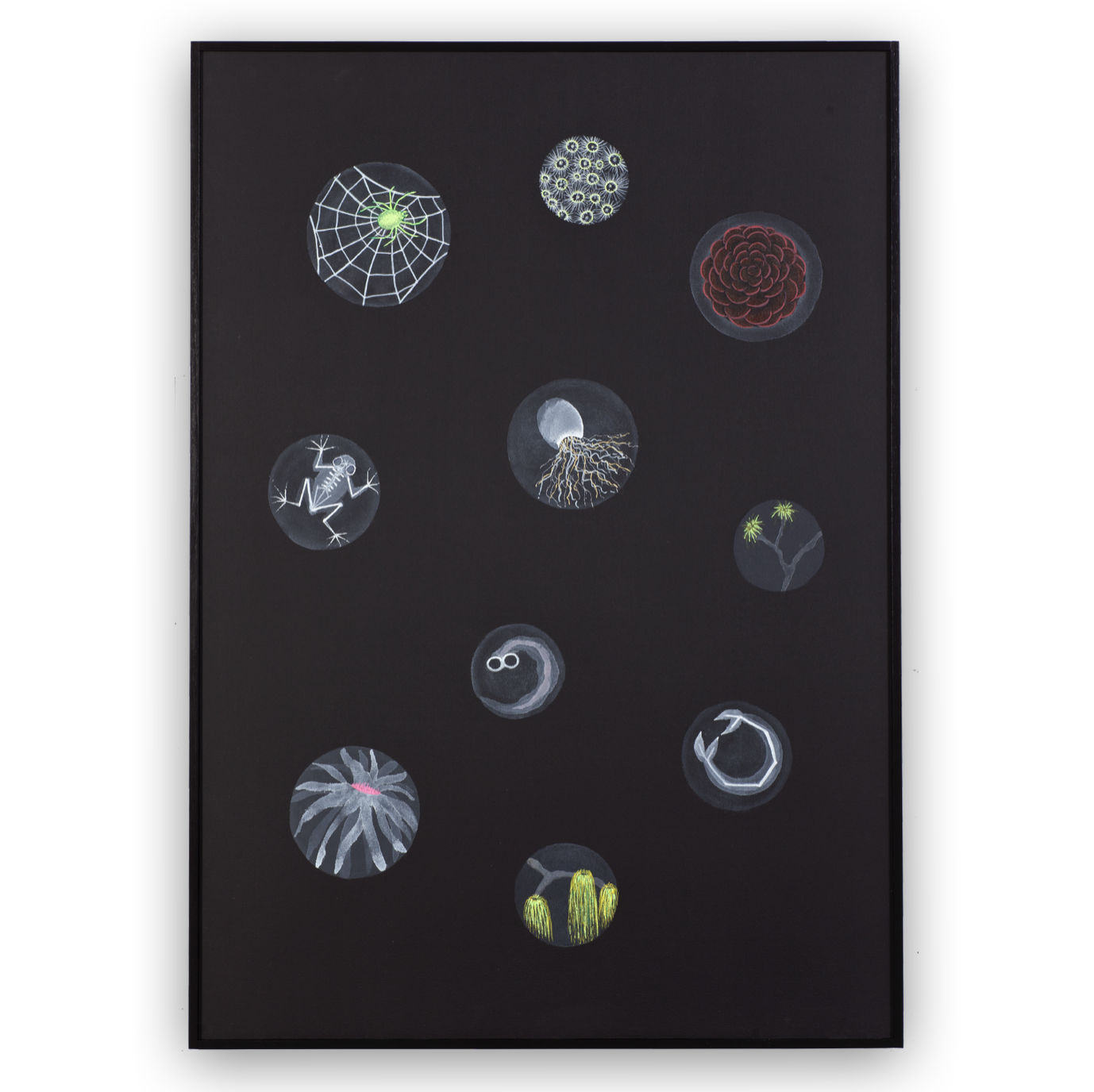 Angela Valamanesh, The Mortician's Garden, mixed bag, 2021