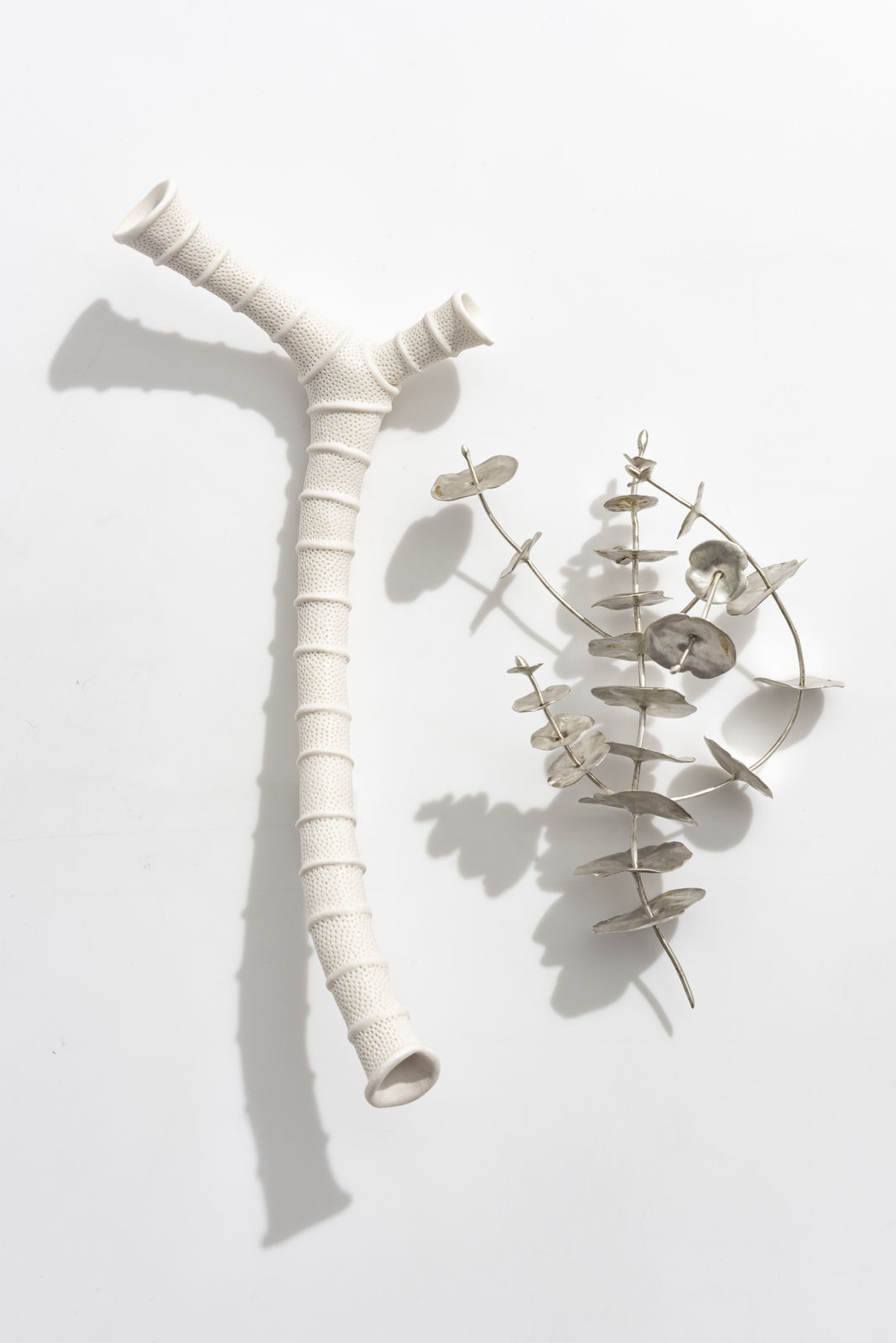 Sarah Rayner & Sophie Carnell, Florilegium …. Whispered conversations IV, 2020