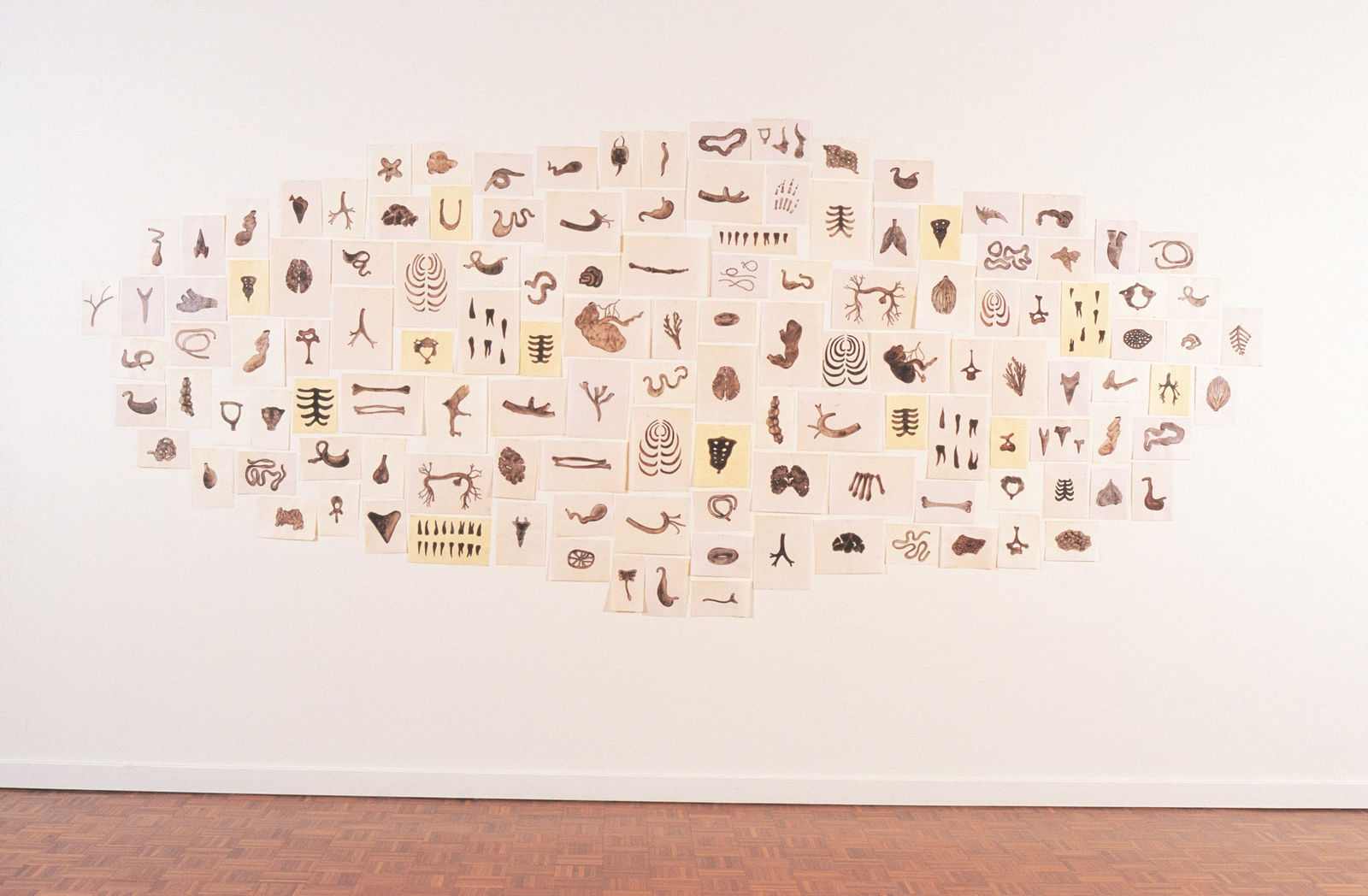 Angela Valamanesh, For a long while there were only plants, 1997