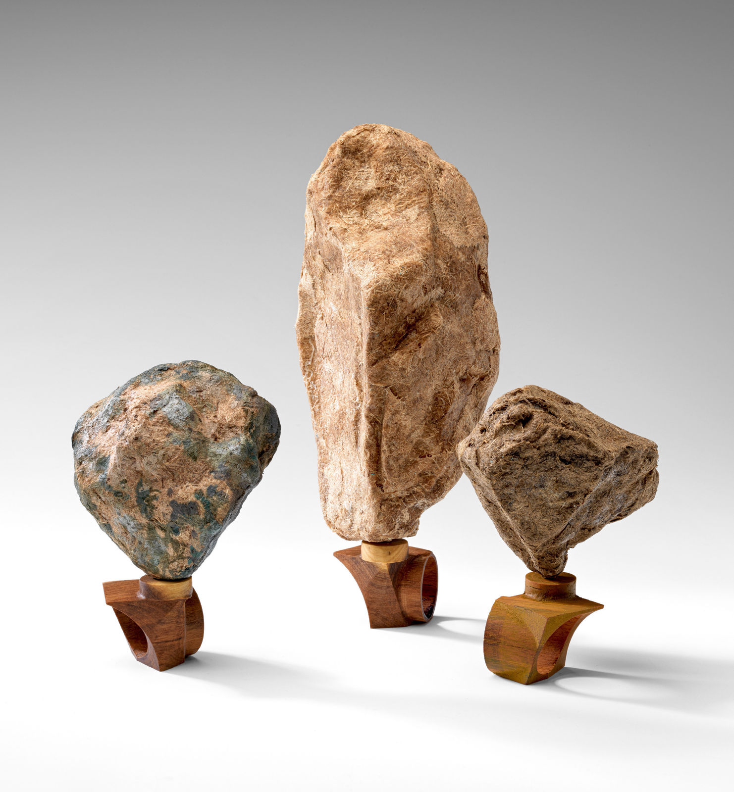 Kyoko Hashimoto and Guy Keulemans, Bioregional rings (Northern Flinders subregion), 2024