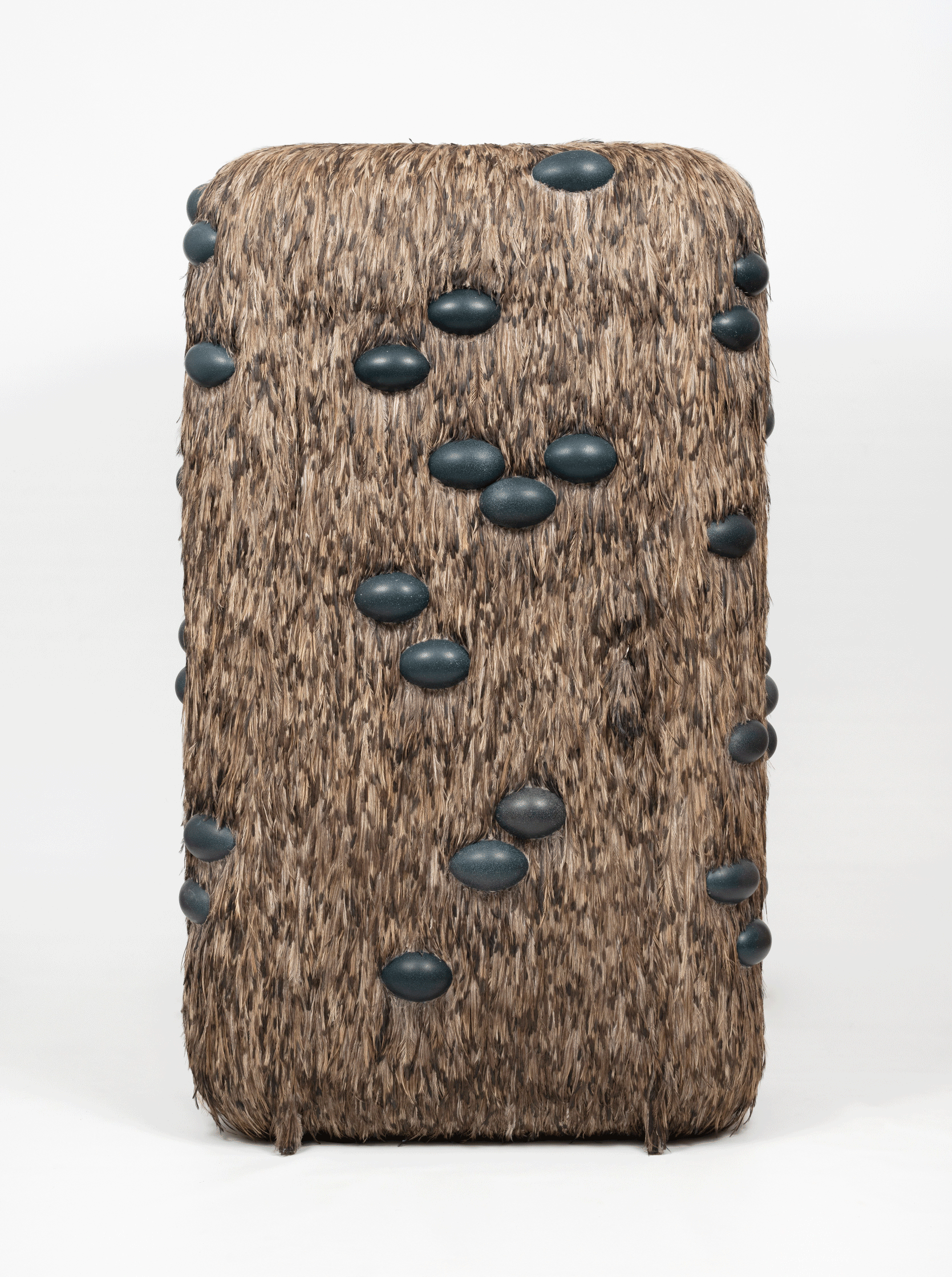 David Tate, Eganu, 2023-2024