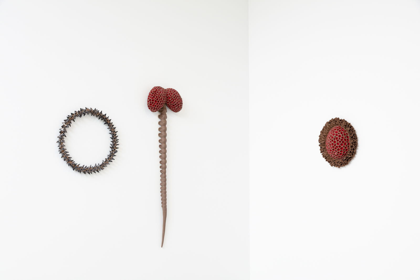 Angela Valamanesh, The Mortician’s Garden, 6, 2020