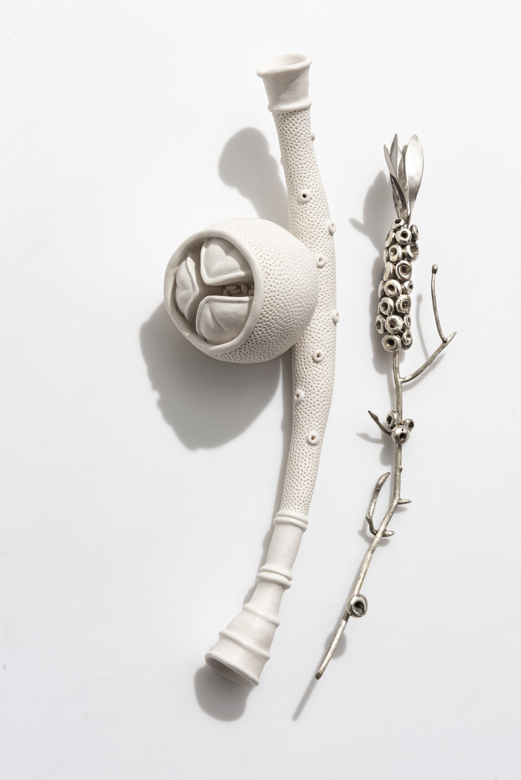 Sarah Rayner & Sophie Carnell, Florilegium …. Whispered conversations IV, 2020