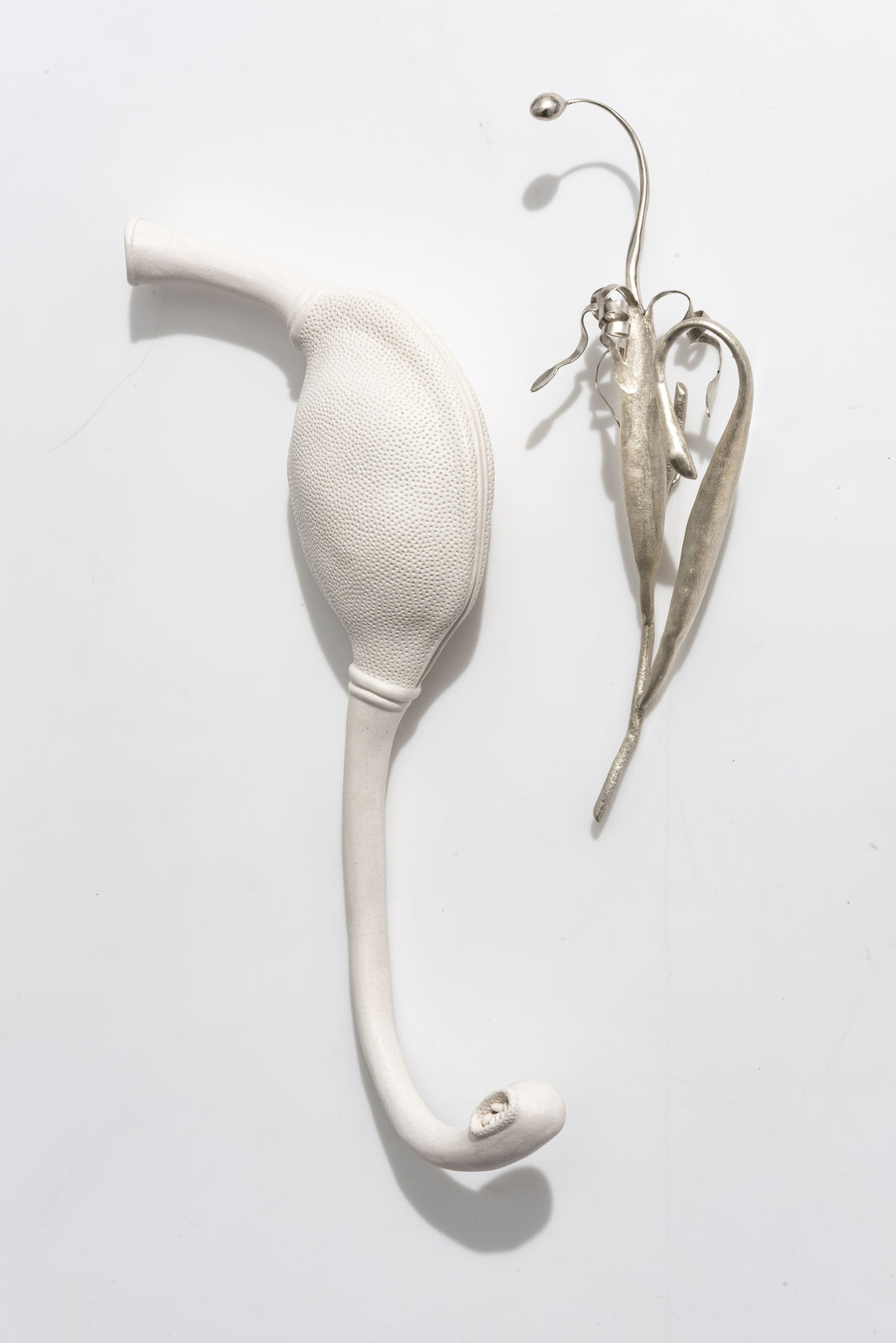 Sarah Rayner & Sophie Carnell, Florilegium …. Whispered conversations IV, 2020