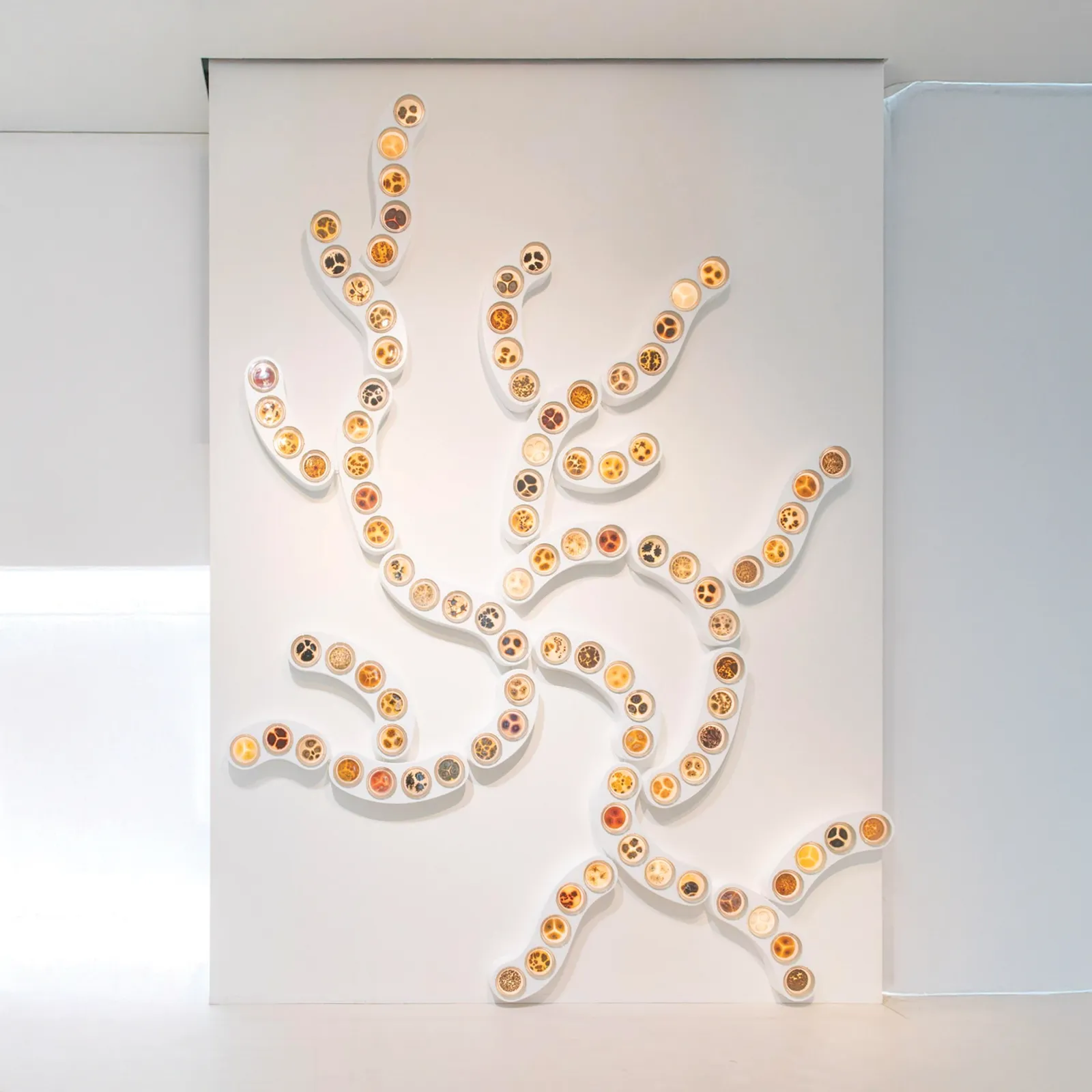 Rhoda Ting & Mikkel Bojesen, Rhizome 1, 2023