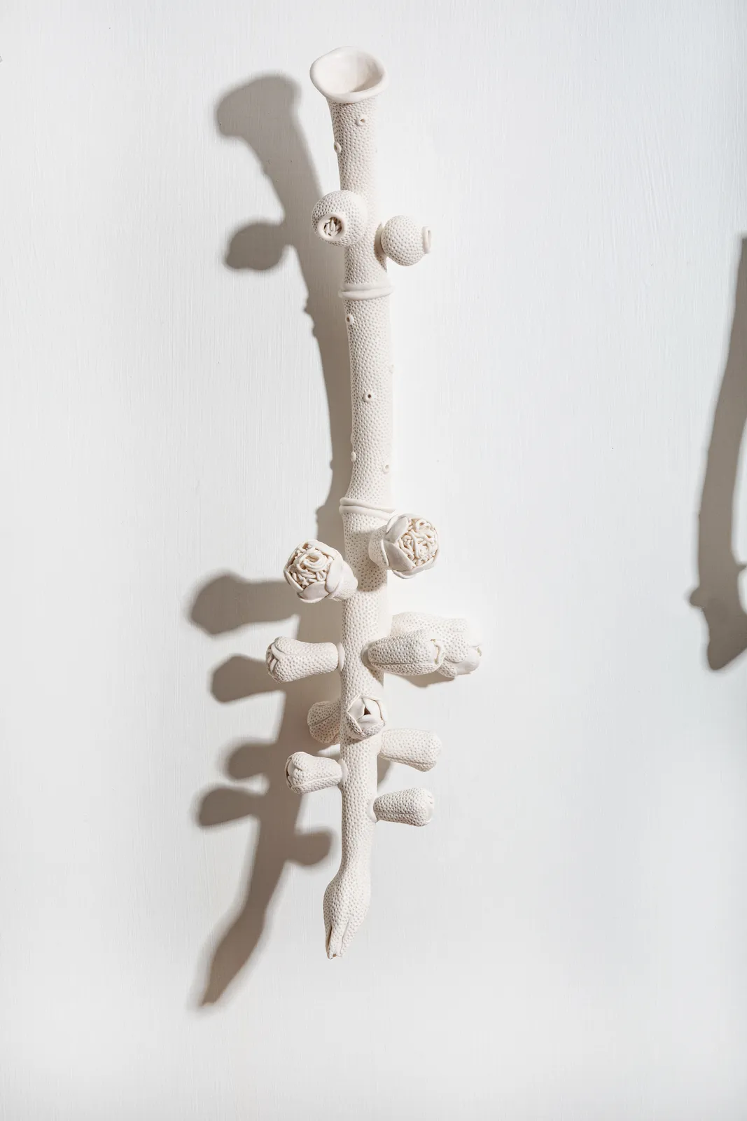 Sarah Rayner, Understories....2, 2024